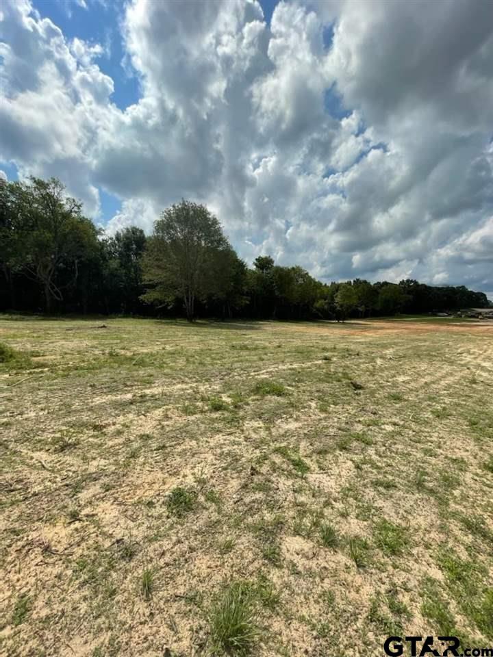 14811 Fallow Ln, Tyler, Texas image 3