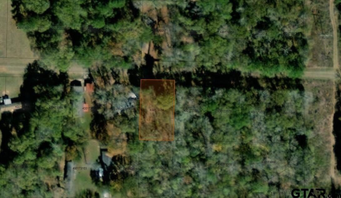 976 Balmorea Dr, Bullard, Texas image 2