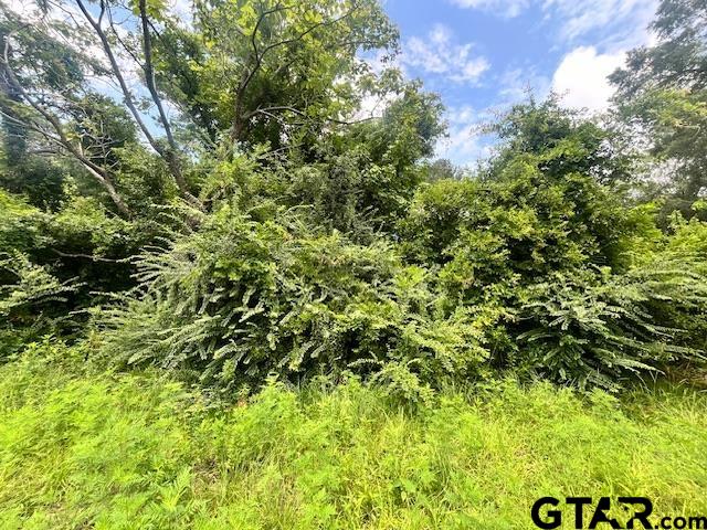 TBD Alma Street, Troup, Texas image 1