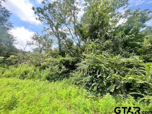 TBD Alma Street, Troup, Texas image 2