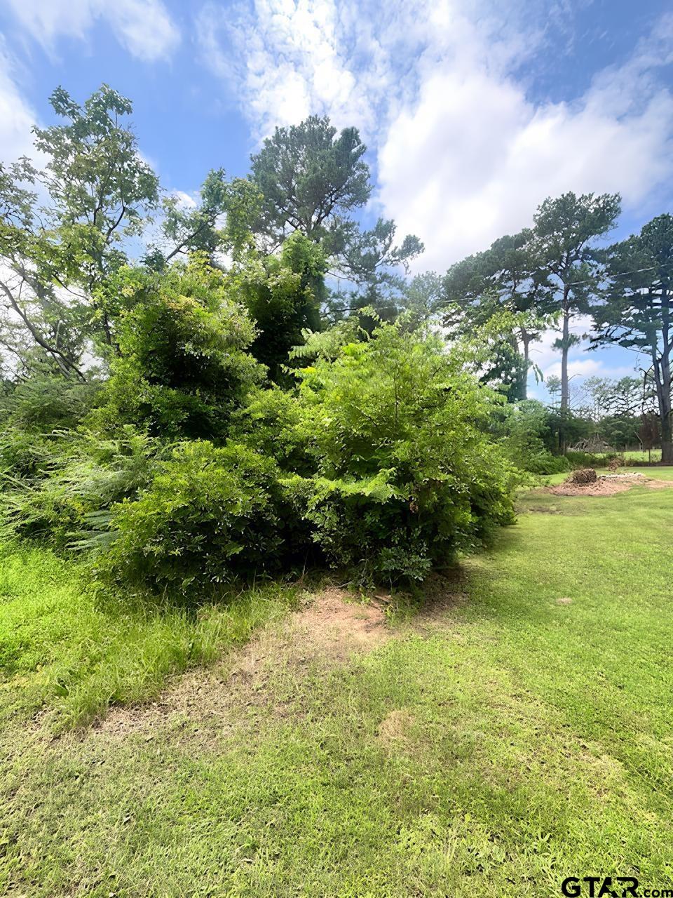 TBD Alma Street, Troup, Texas image 3