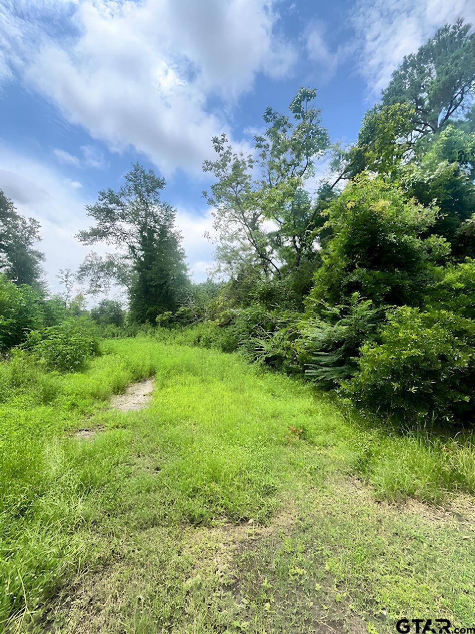 TBD Alma Street, Troup, Texas image 4
