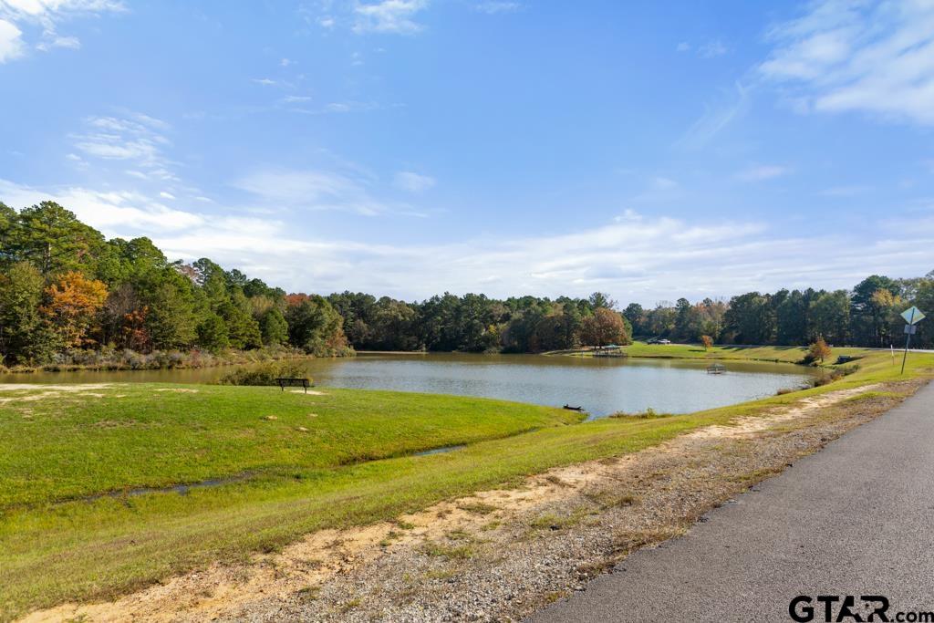 421 W Cumberland Rd #301, Tyler, Texas image 45