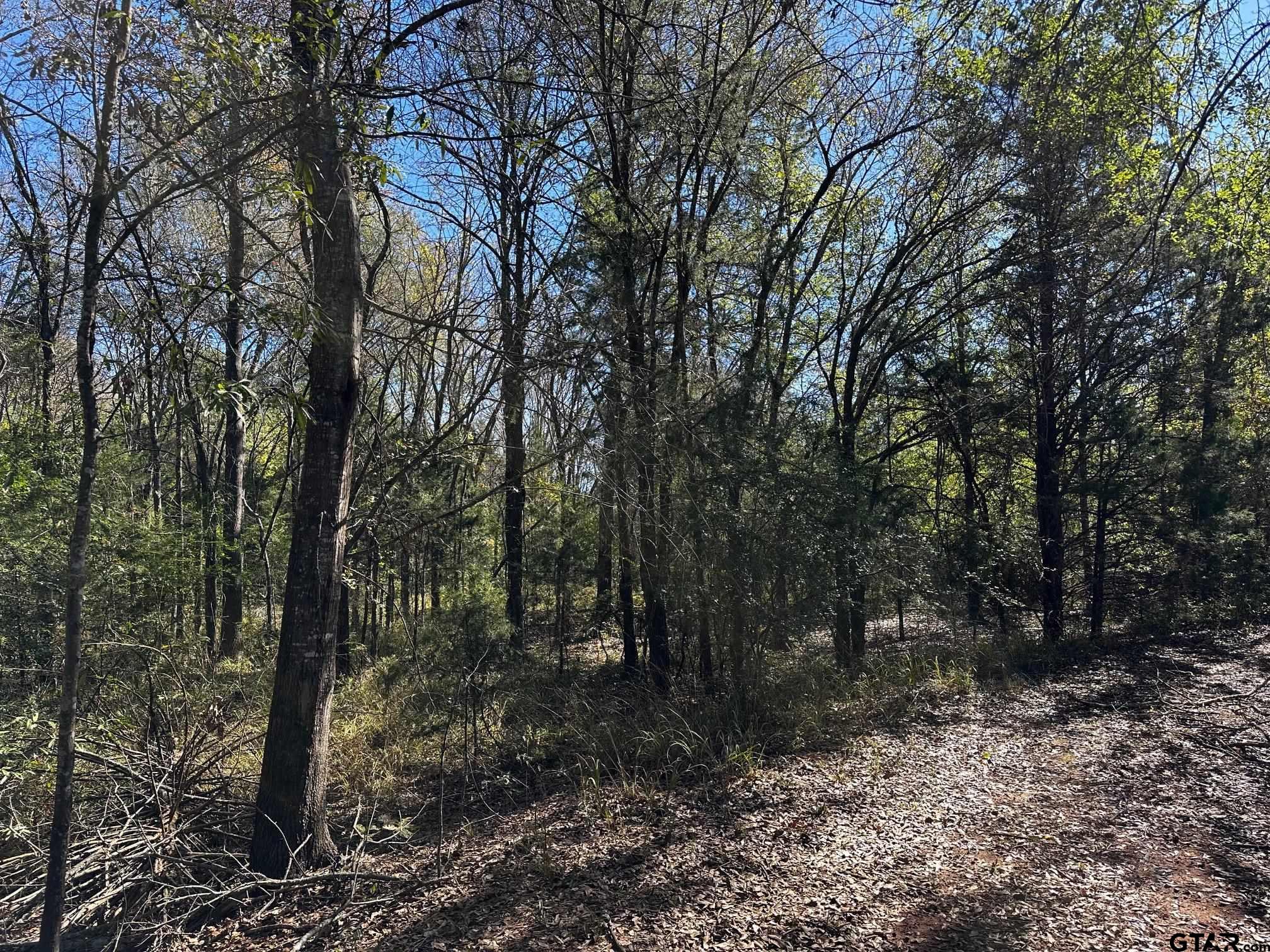 TRACT C  337 Private Road 8507, Van, Texas image 7