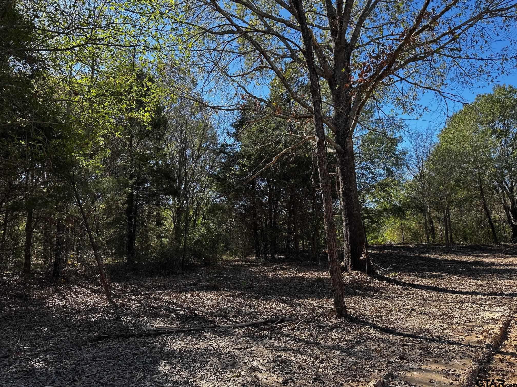 TRACT C  337 Private Road 8507, Van, Texas image 9