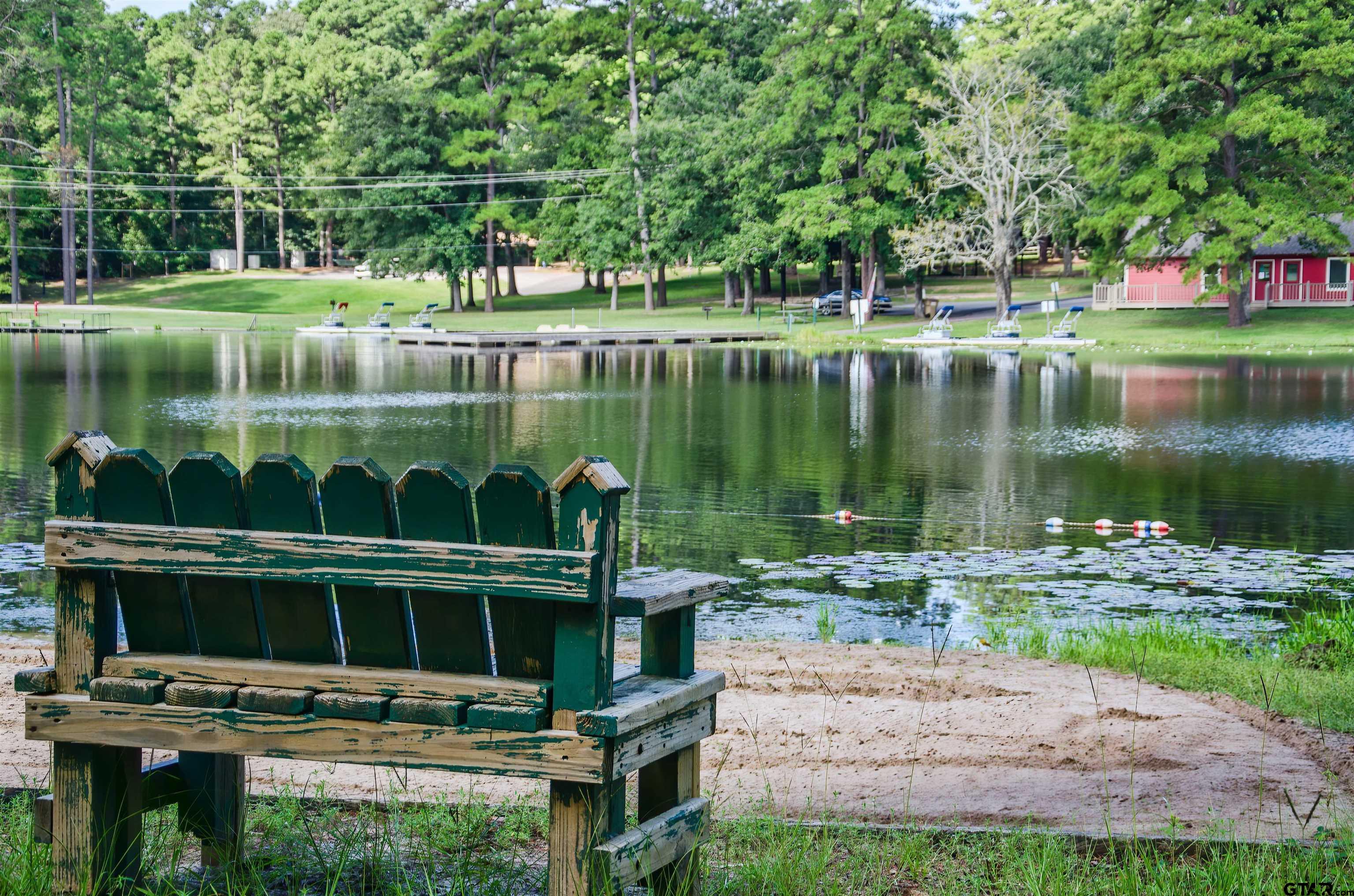 TBD Autumn Wood Trail, Holly Lake Ranch, Texas image 15