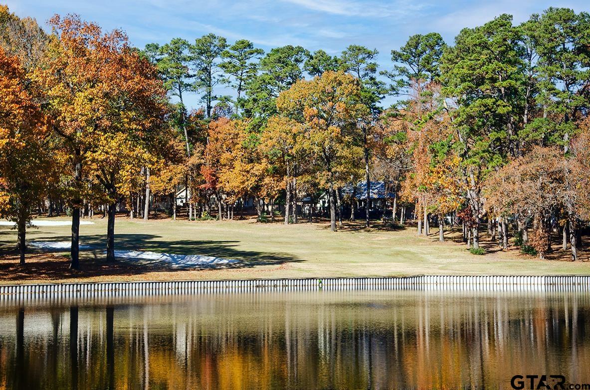 TBD Autumn Wood Trail, Holly Lake Ranch, Texas image 19