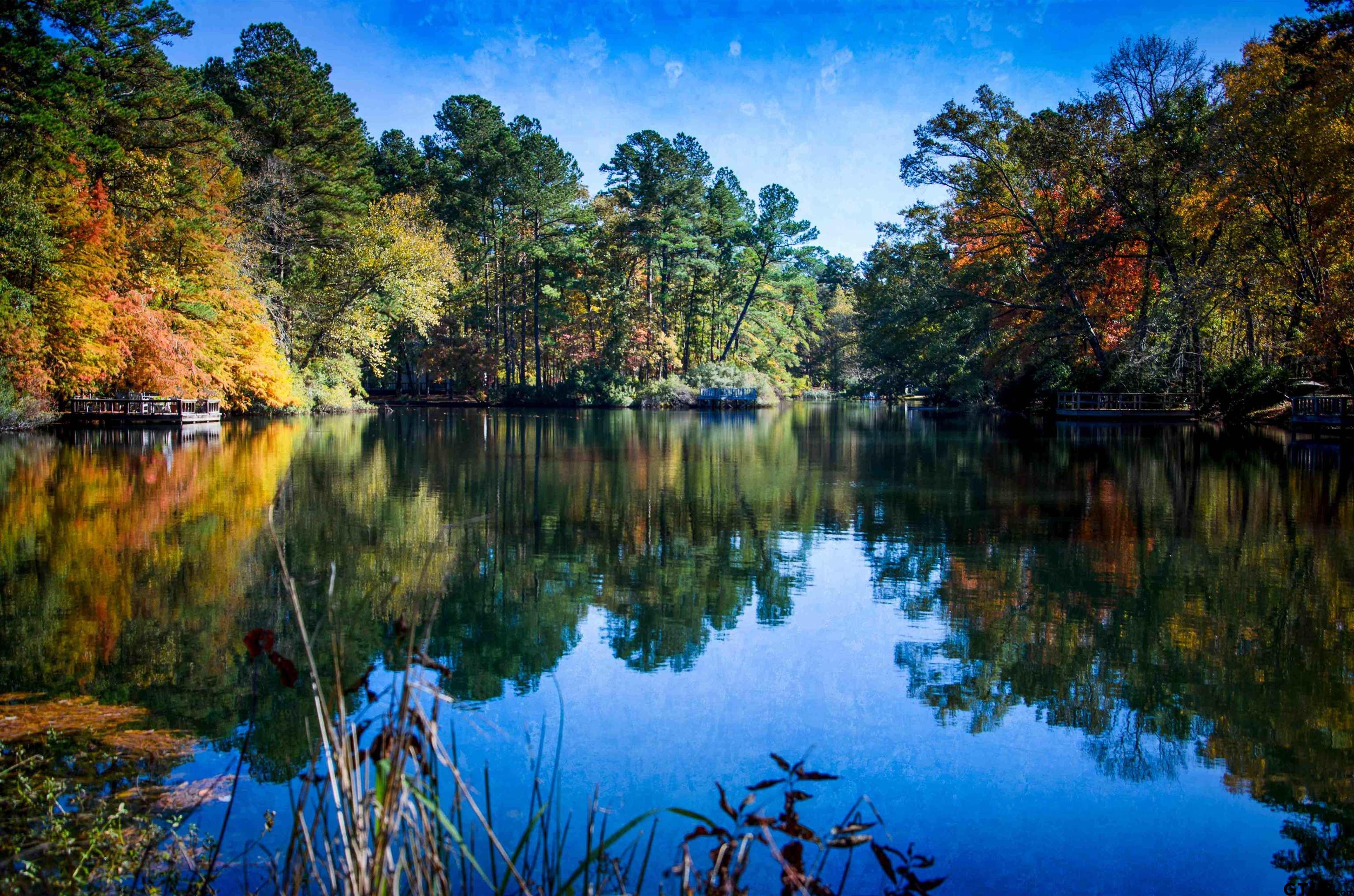 TBD Autumn Wood Trail, Holly Lake Ranch, Texas image 21