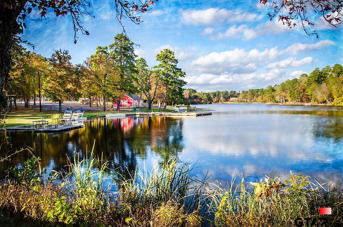 TBD Autumn Wood Trail, Holly Lake Ranch, Texas image 22