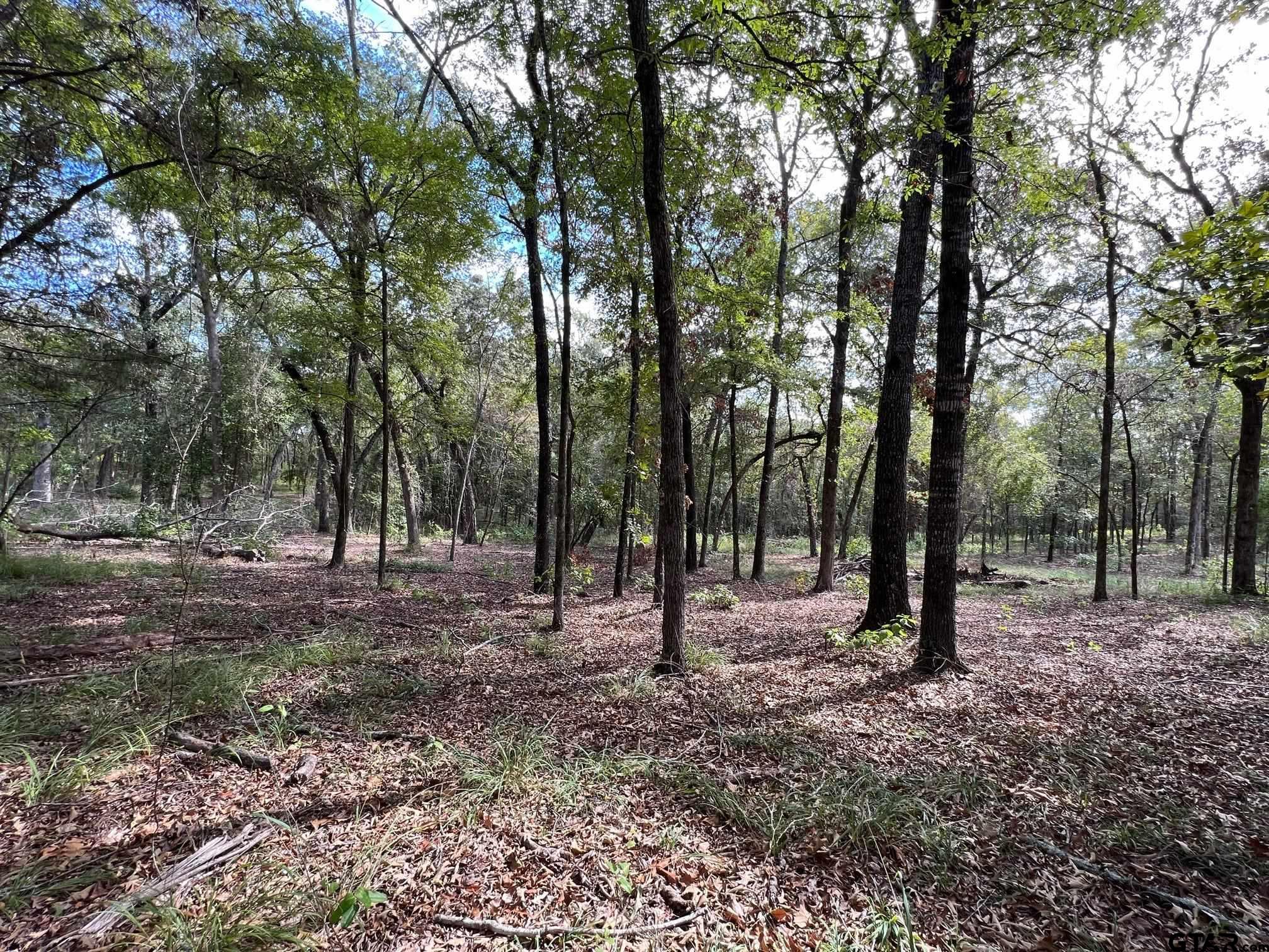 13648 Cr 420 (lot 5), Tyler, Texas image 1