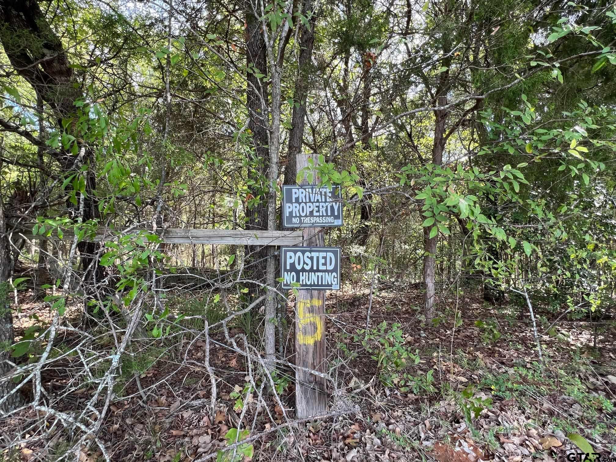 13648 Cr 420 (lot 5), Tyler, Texas image 2