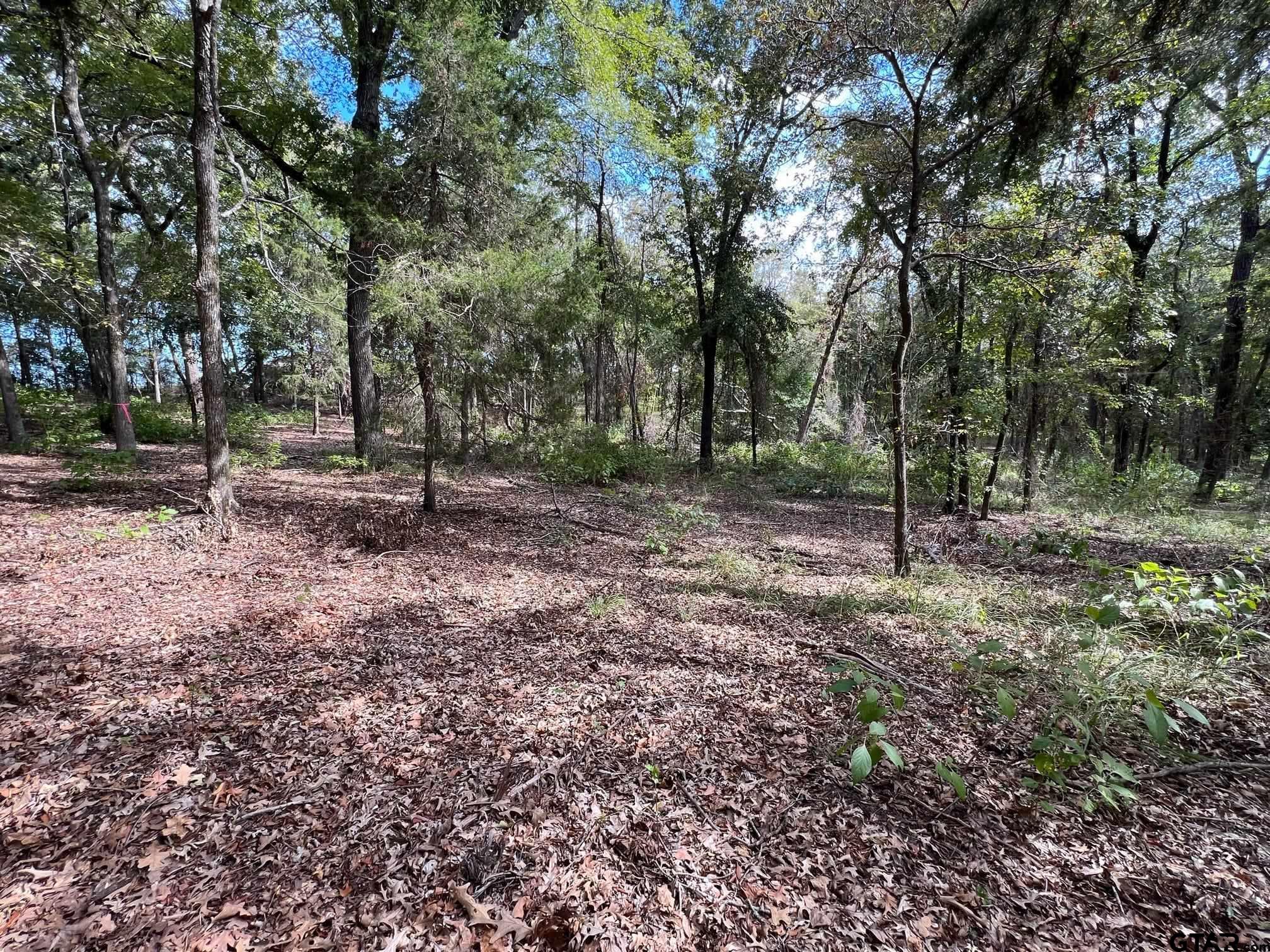 13648 Cr 420 (lot 5), Tyler, Texas image 11