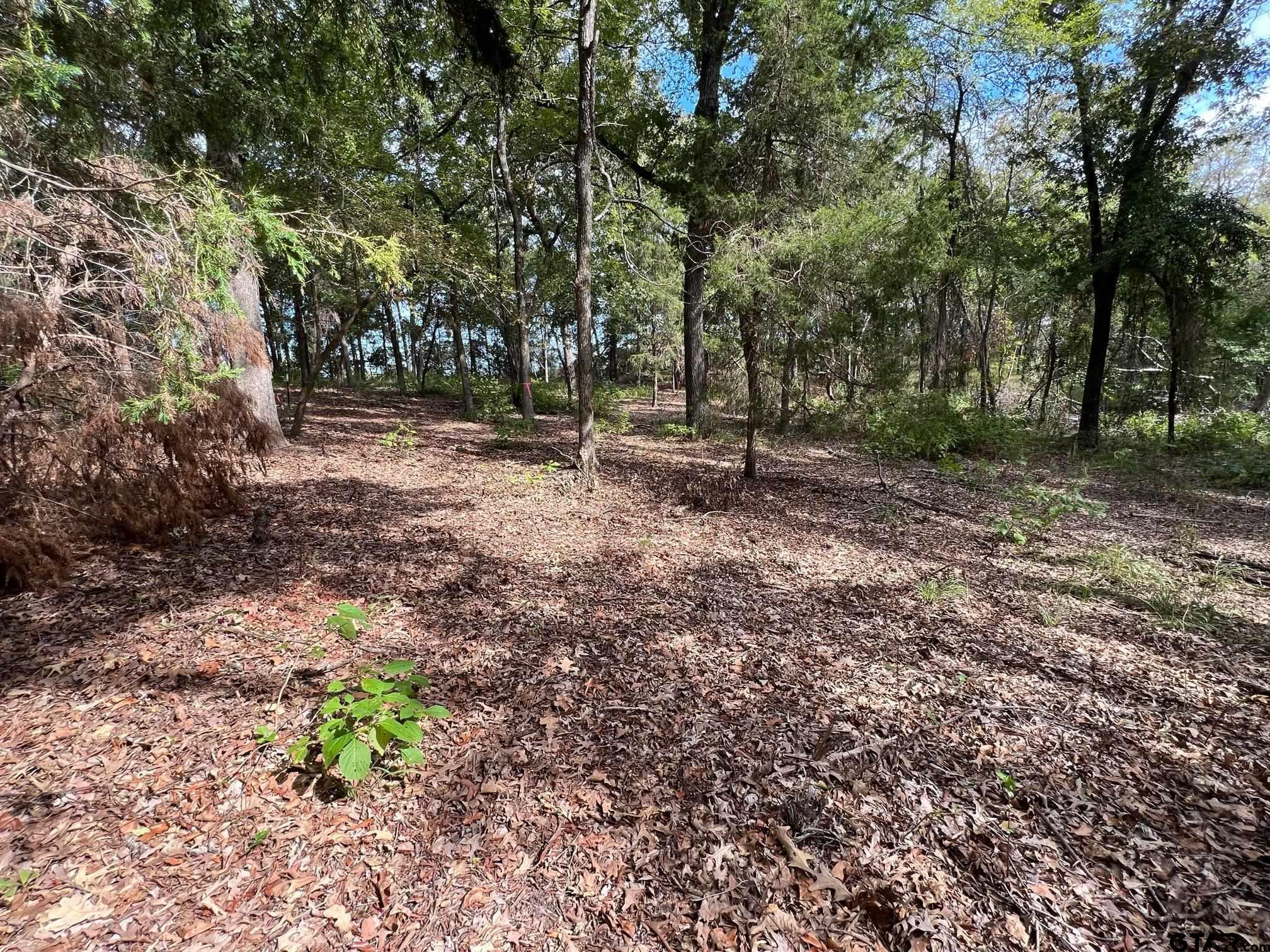 13648 Cr 420 (lot 5), Tyler, Texas image 12