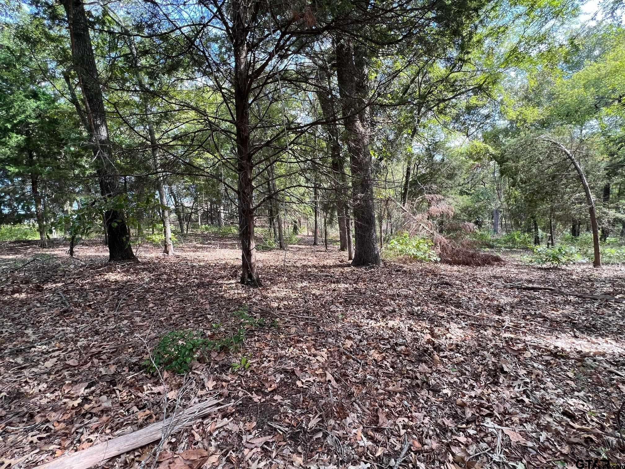 13648 Cr 420 (lot 5), Tyler, Texas image 13