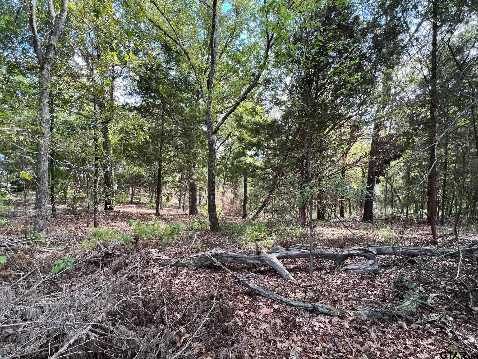 13648 Cr 420 (lot 5), Tyler, Texas image 15