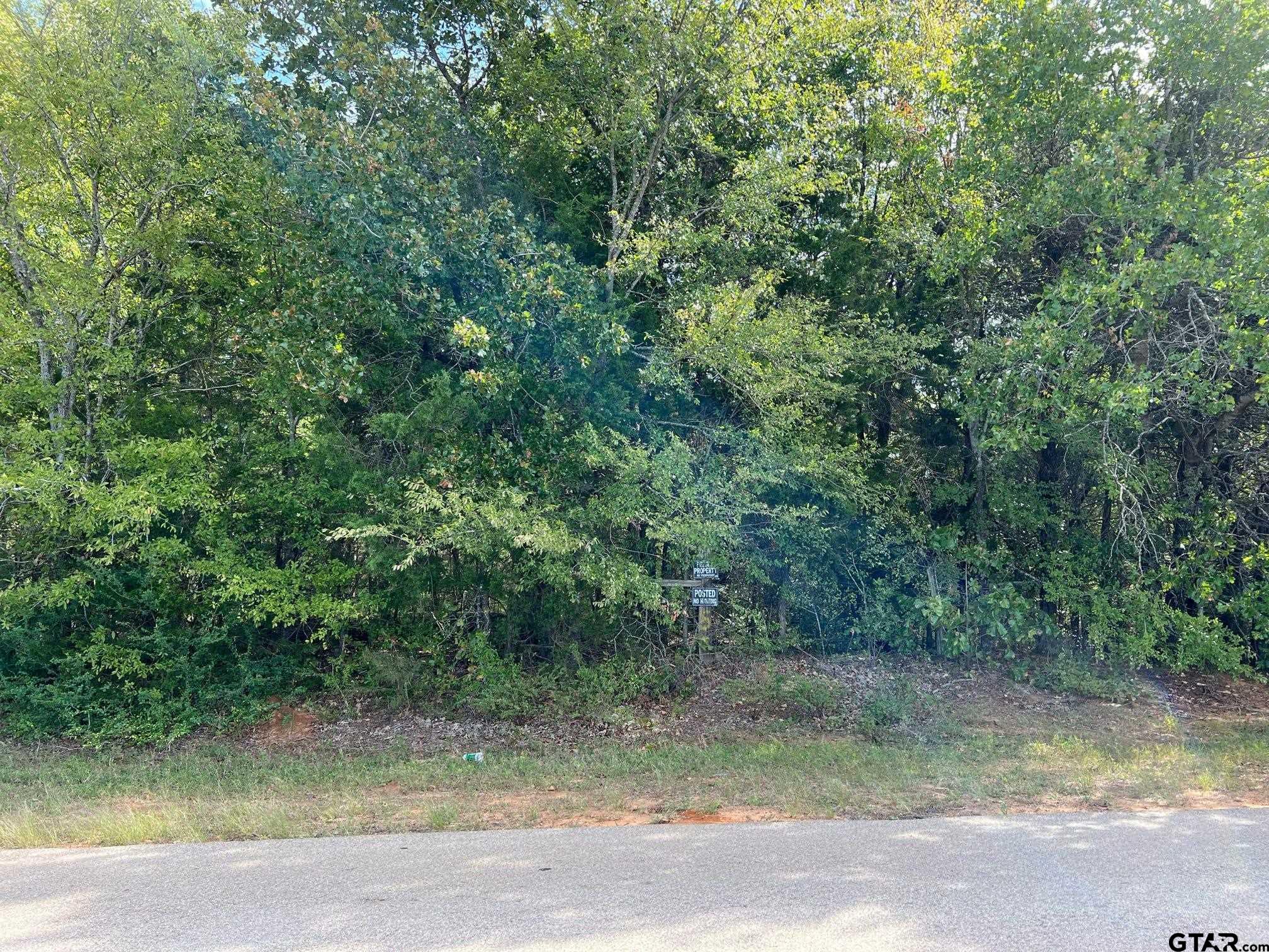 13648 Cr 420 (lot 5), Tyler, Texas image 16