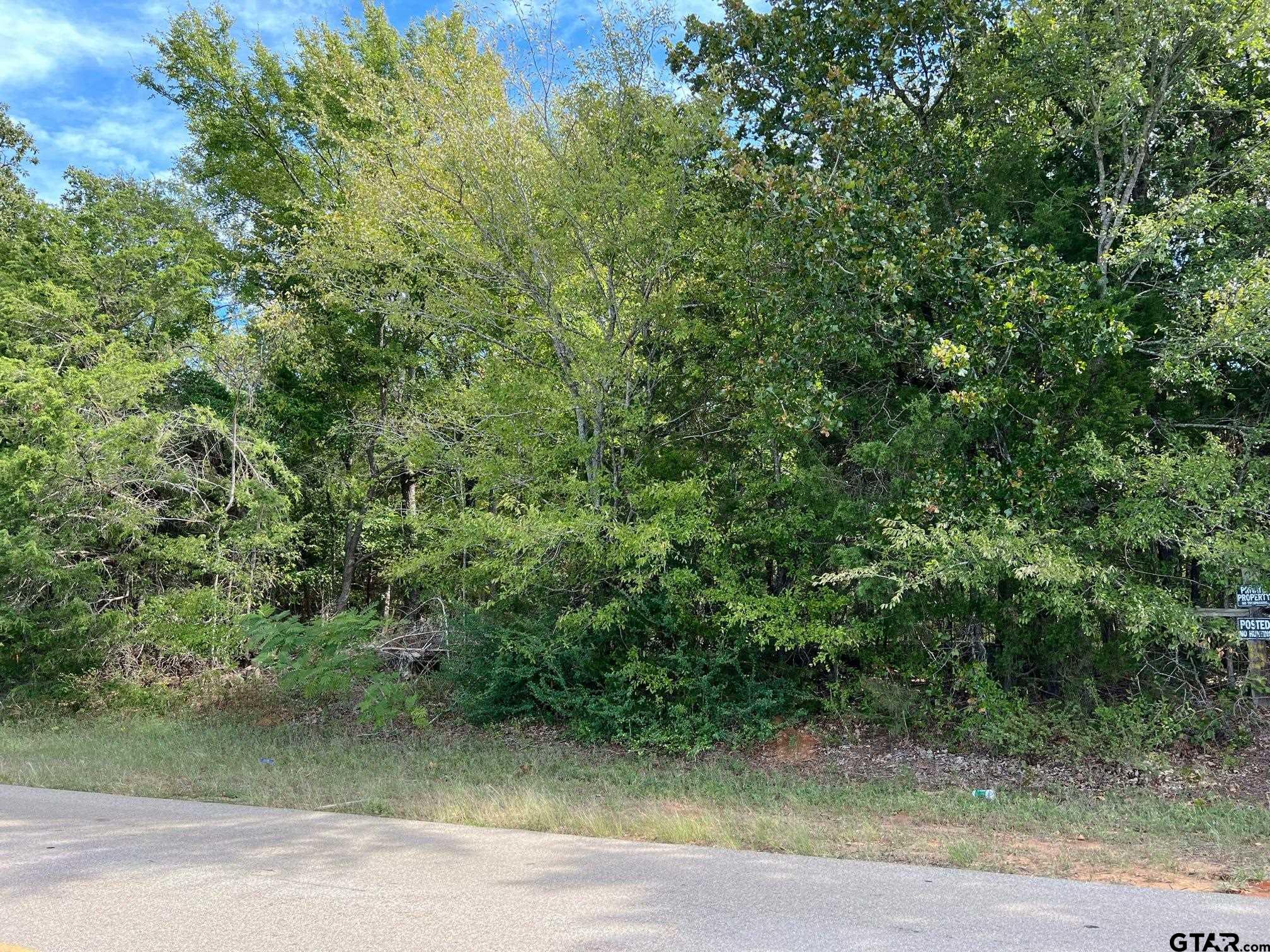 13648 Cr 420 (lot 5), Tyler, Texas image 17