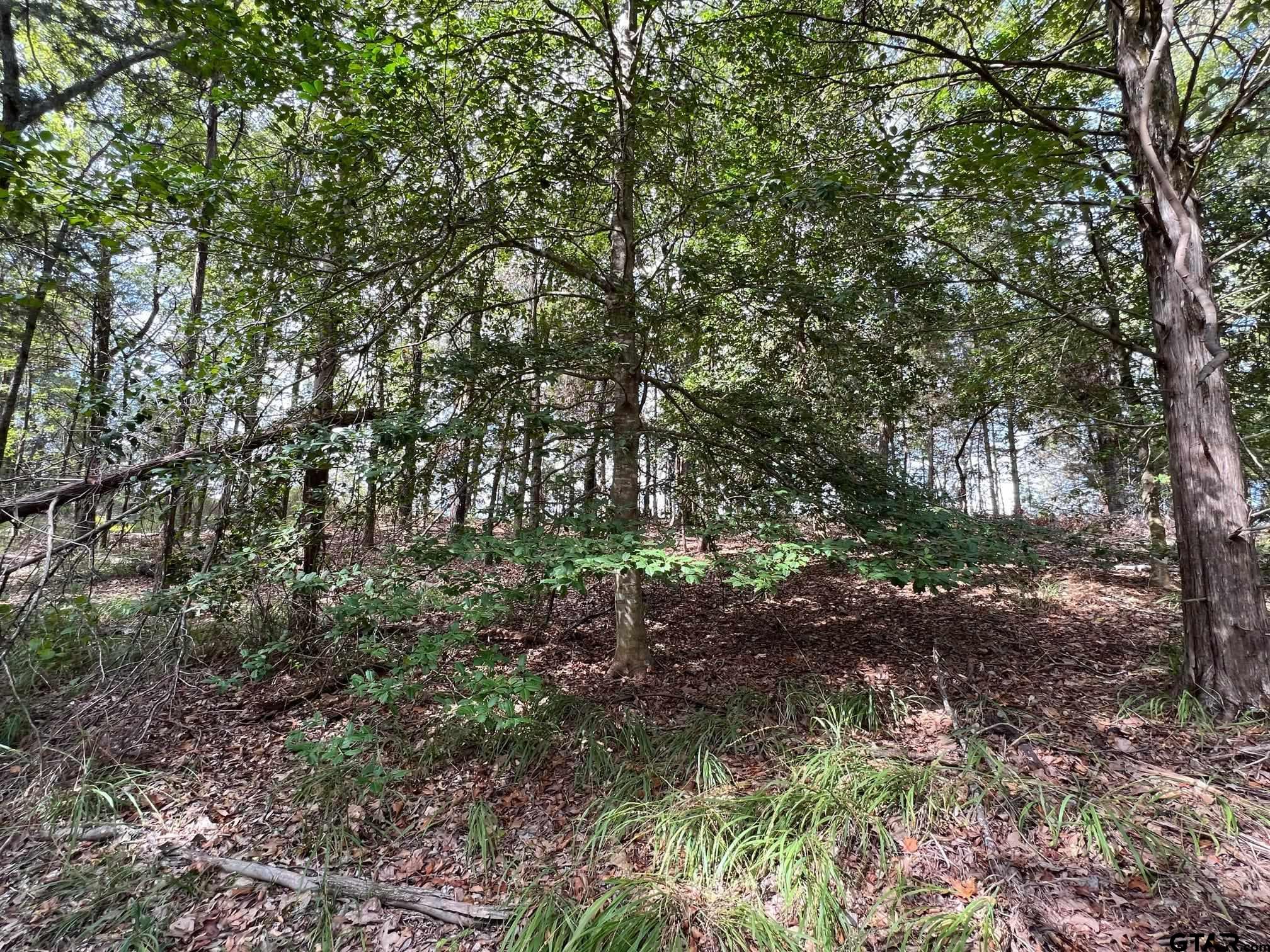 13648 Cr 420 (lot 5), Tyler, Texas image 3
