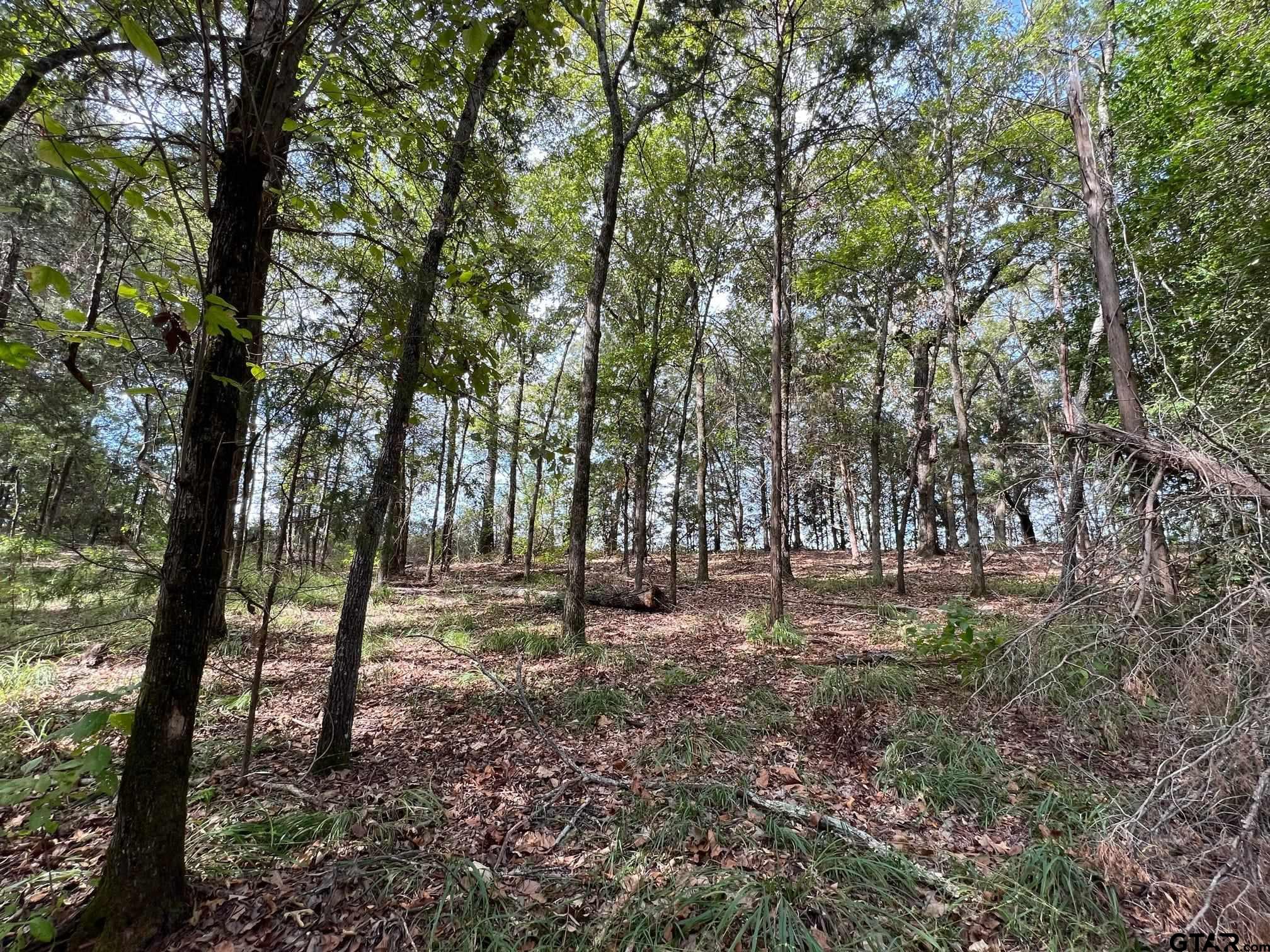 13648 Cr 420 (lot 5), Tyler, Texas image 4