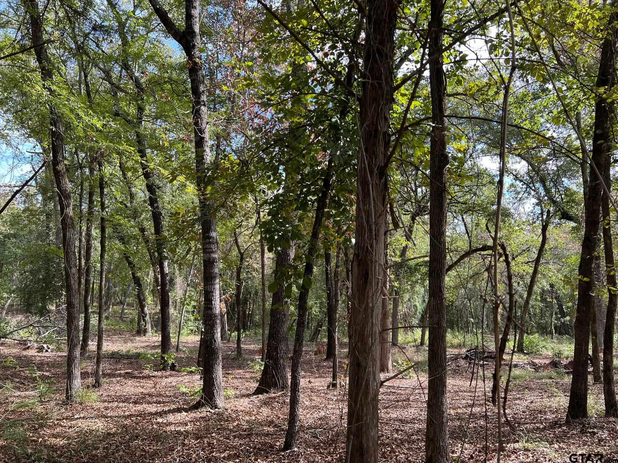 13648 Cr 420 (lot 5), Tyler, Texas image 5