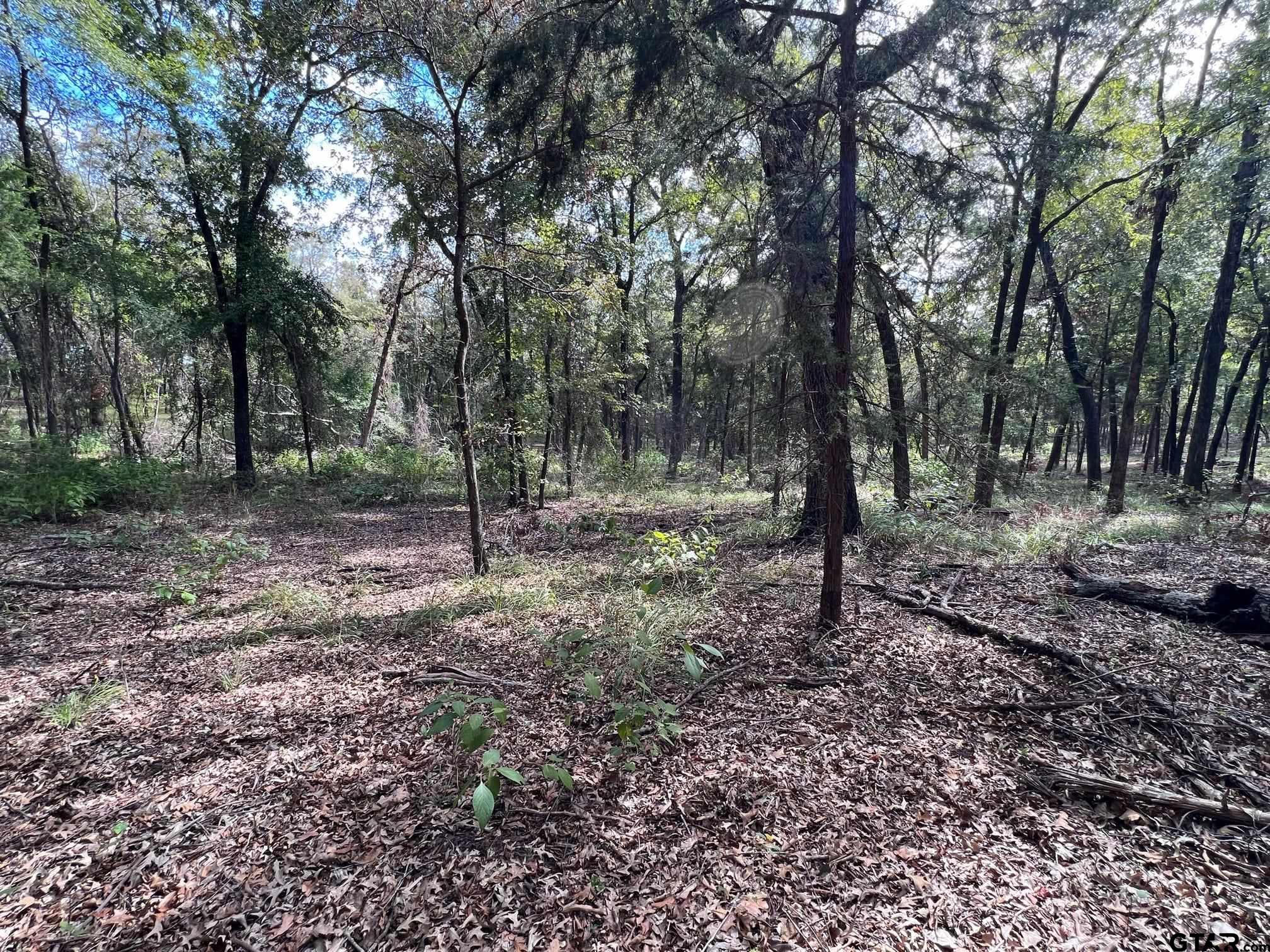 13648 Cr 420 (lot 5), Tyler, Texas image 10