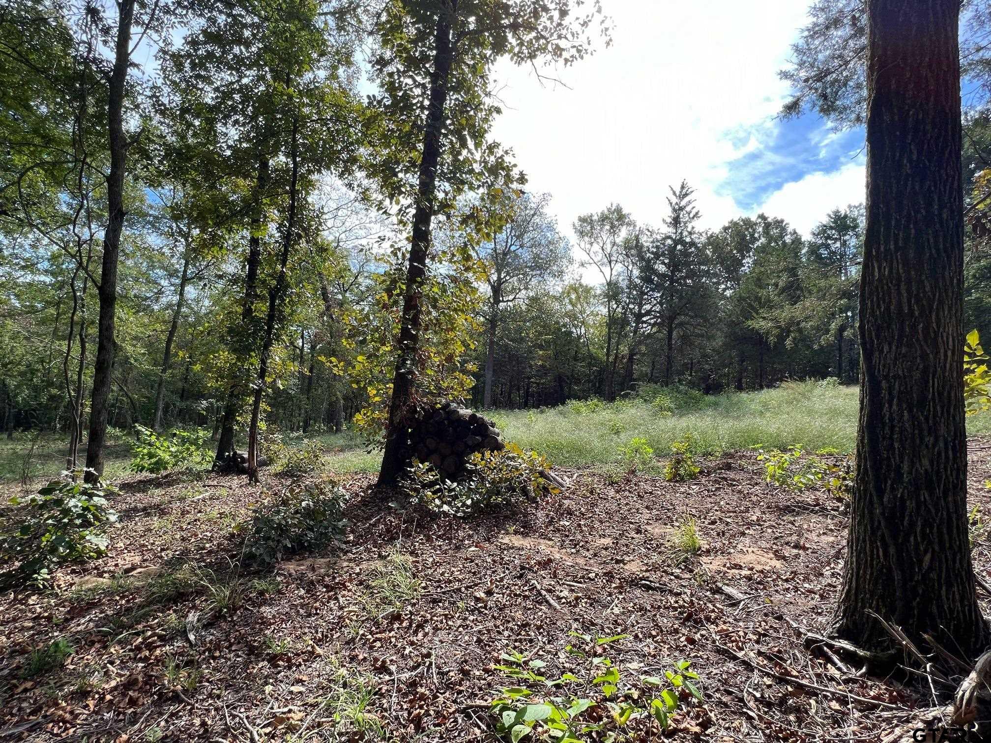 13610 Cr 420 (lot 6), Tyler, Texas image 1