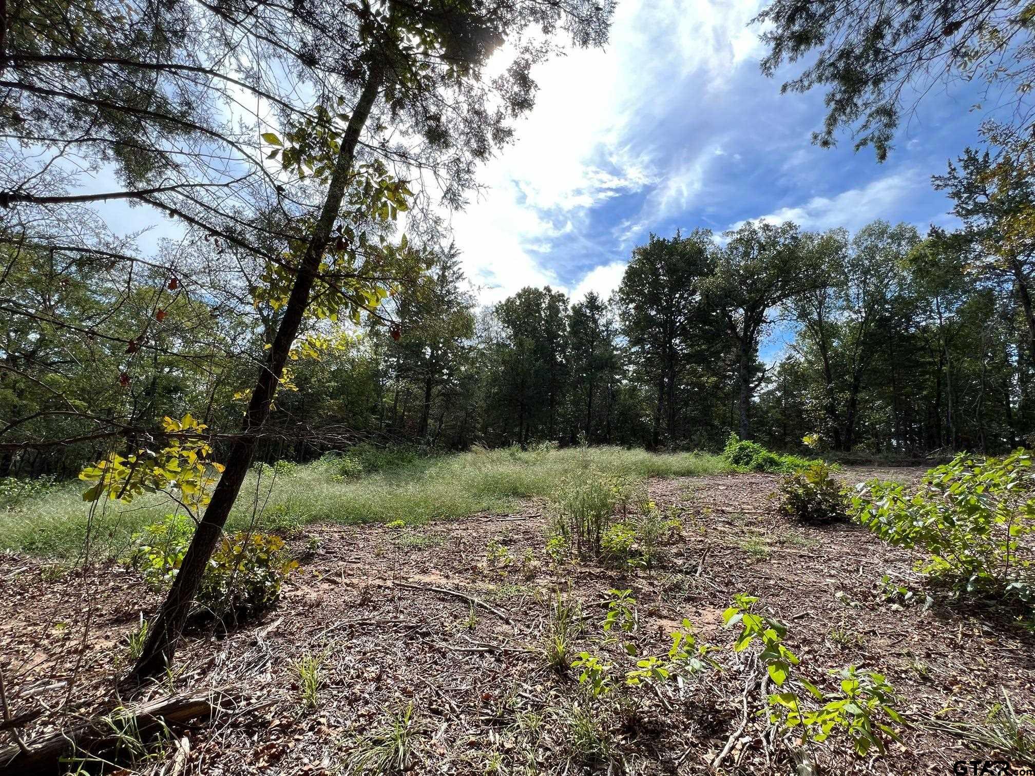 13610 Cr 420 (lot 6), Tyler, Texas image 2
