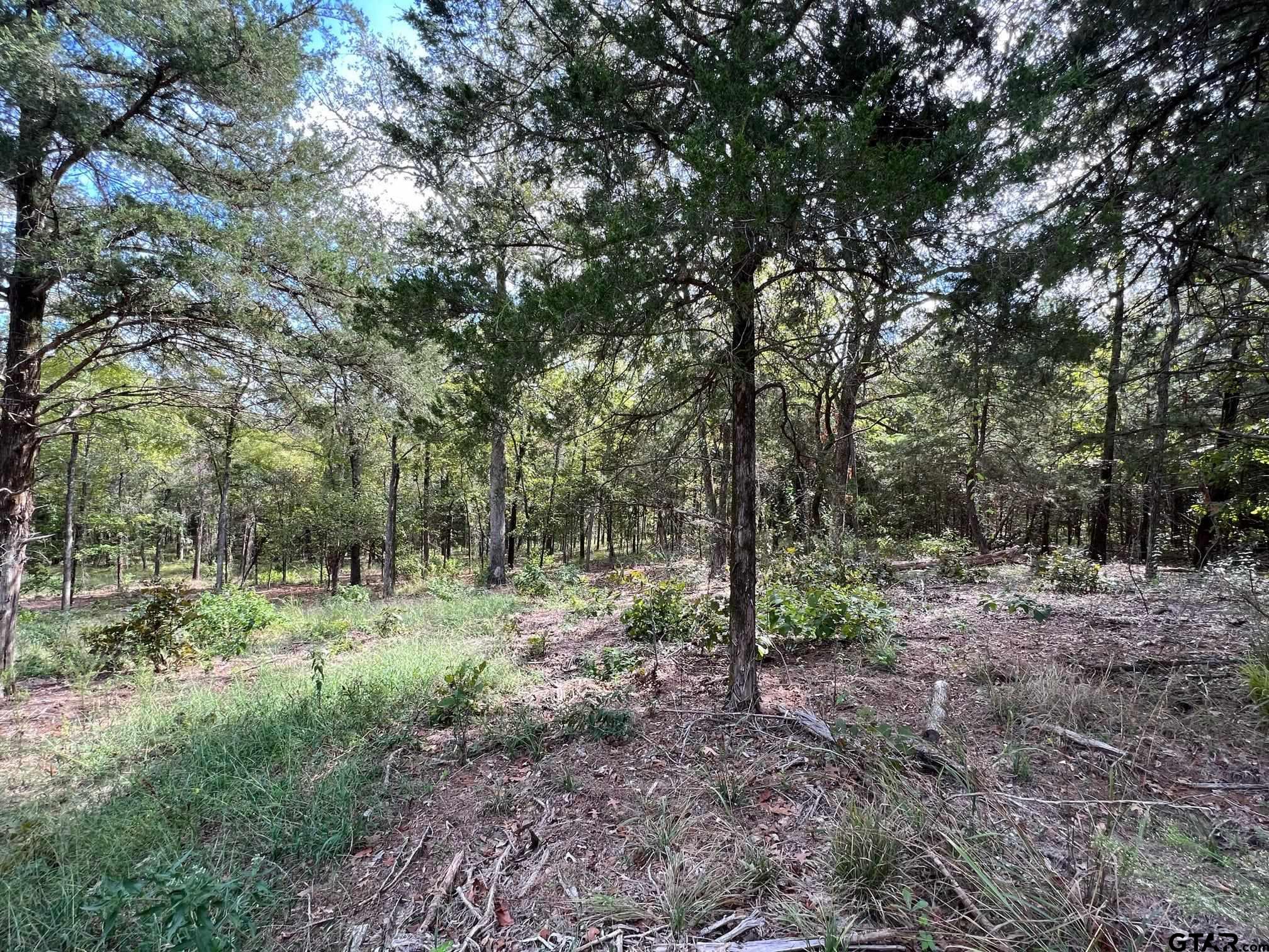 13610 Cr 420 (lot 6), Tyler, Texas image 11