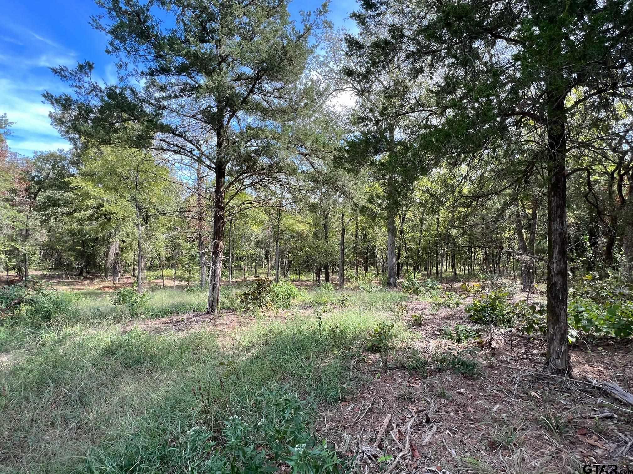 13610 Cr 420 (lot 6), Tyler, Texas image 12