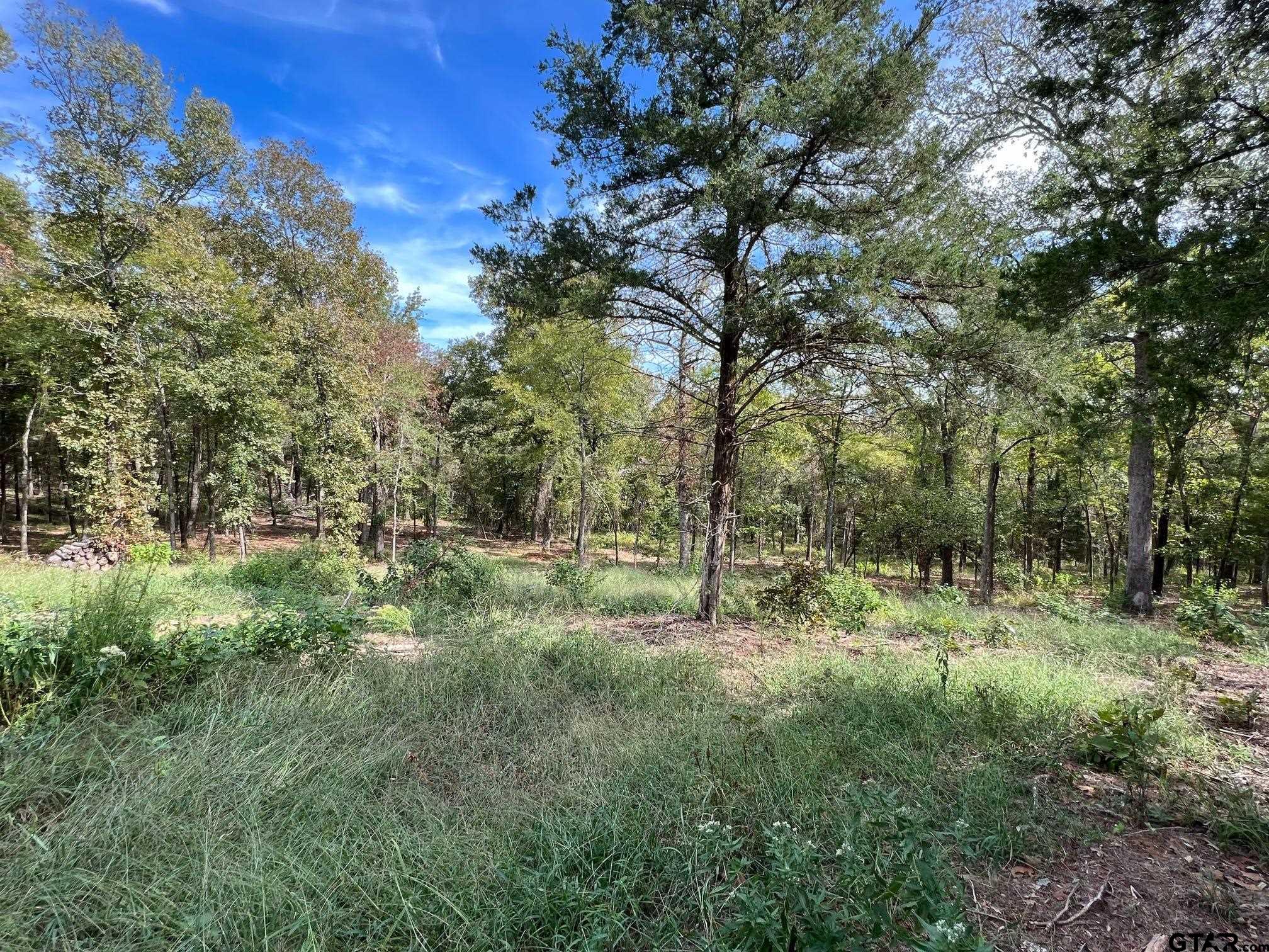 13610 Cr 420 (lot 6), Tyler, Texas image 13