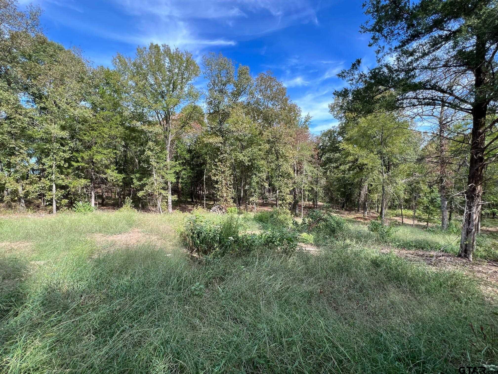 13610 Cr 420 (lot 6), Tyler, Texas image 14
