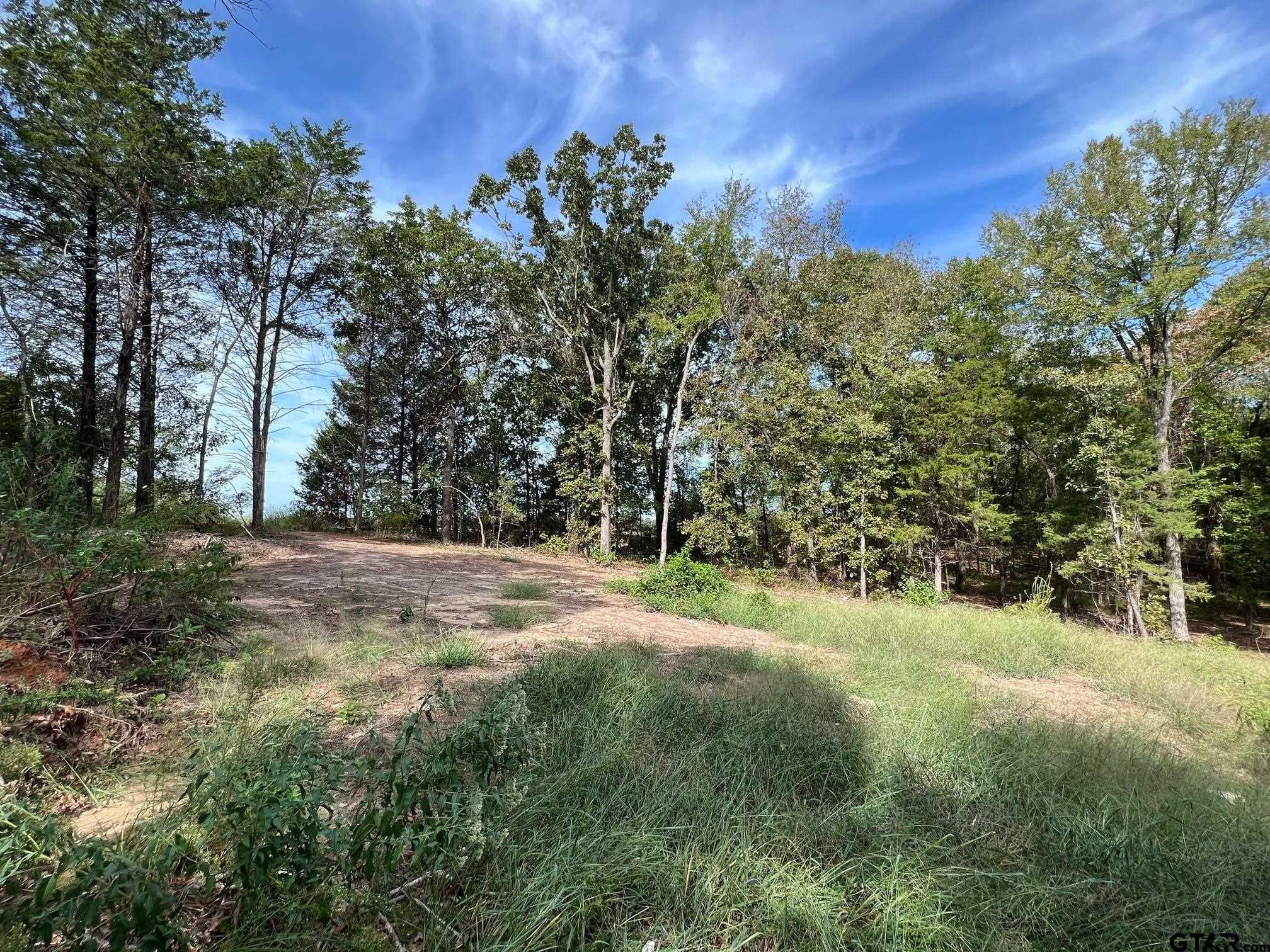 13610 Cr 420 (lot 6), Tyler, Texas image 15