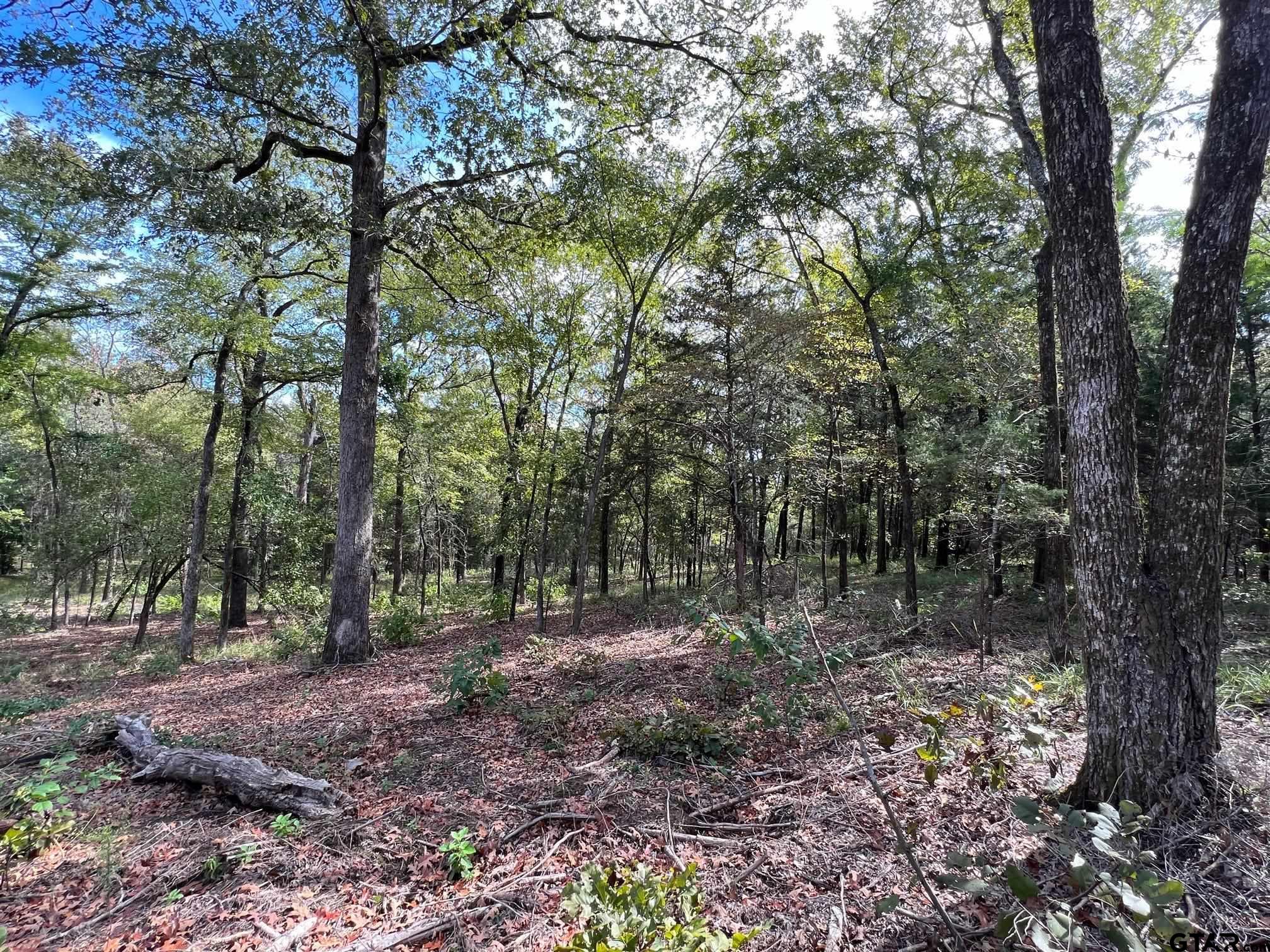 13610 Cr 420 (lot 6), Tyler, Texas image 16