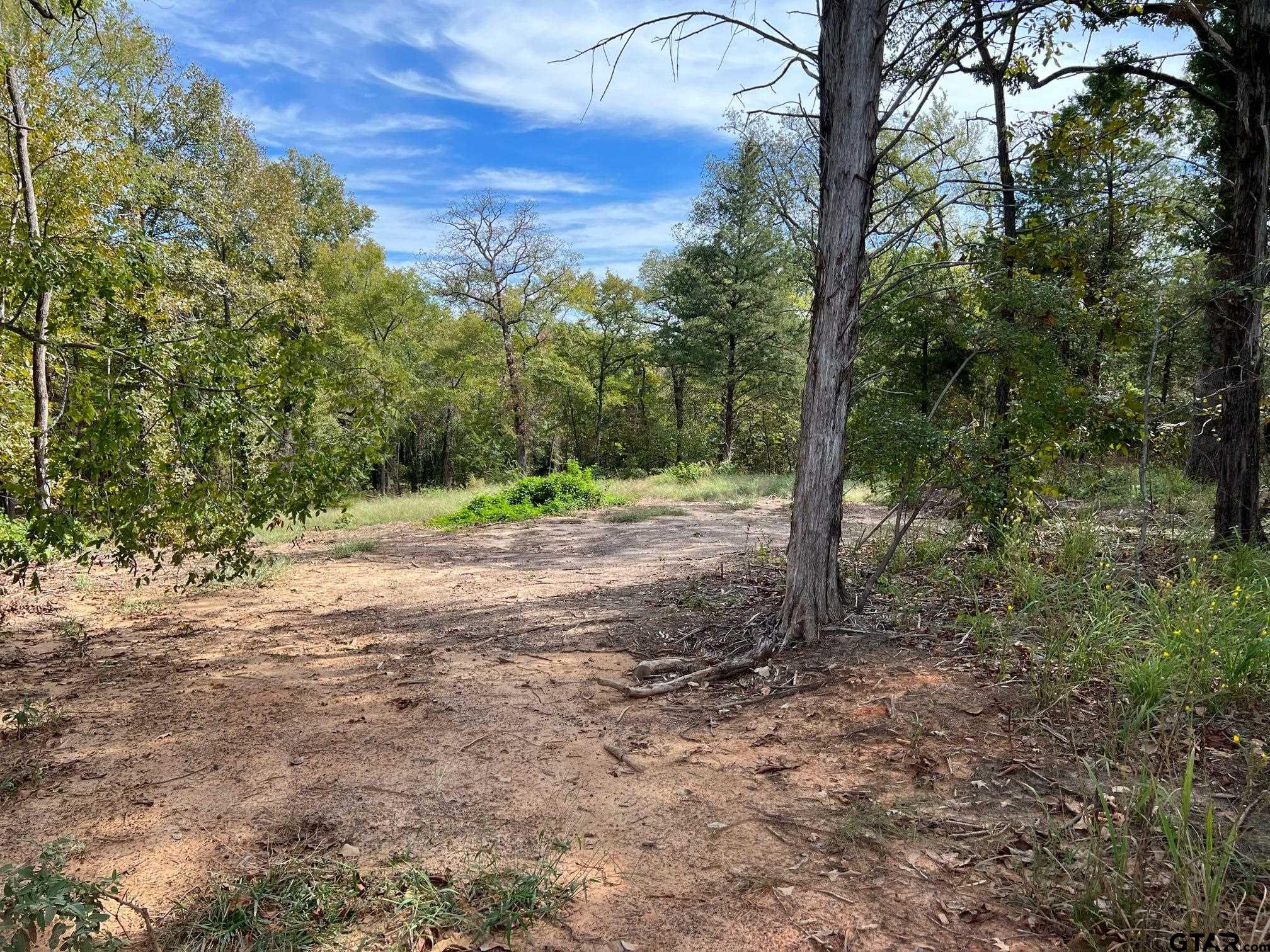 13610 Cr 420 (lot 6), Tyler, Texas image 17