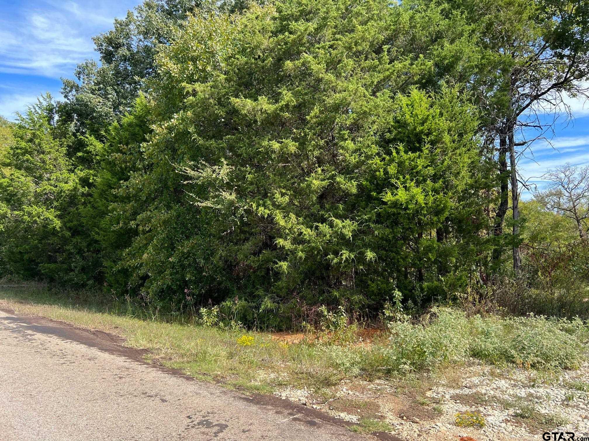 13610 Cr 420 (lot 6), Tyler, Texas image 20