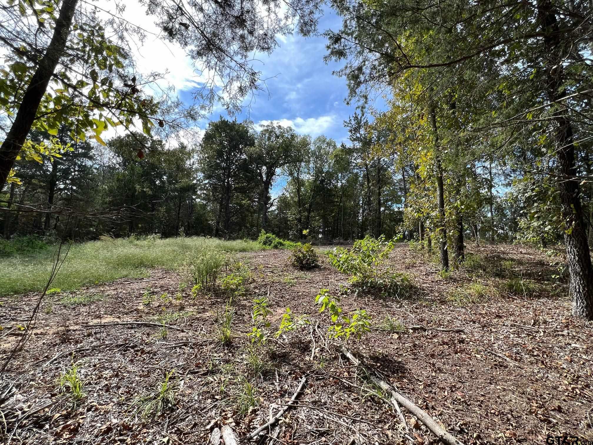 13610 Cr 420 (lot 6), Tyler, Texas image 3
