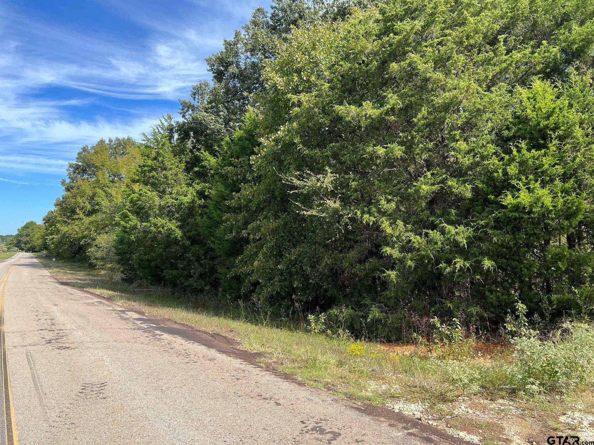 13610 Cr 420 (lot 6), Tyler, Texas image 22