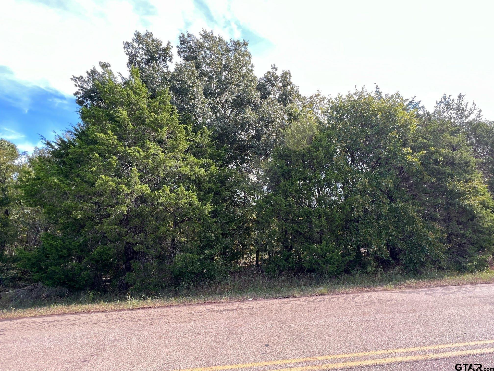 13610 Cr 420 (lot 6), Tyler, Texas image 23