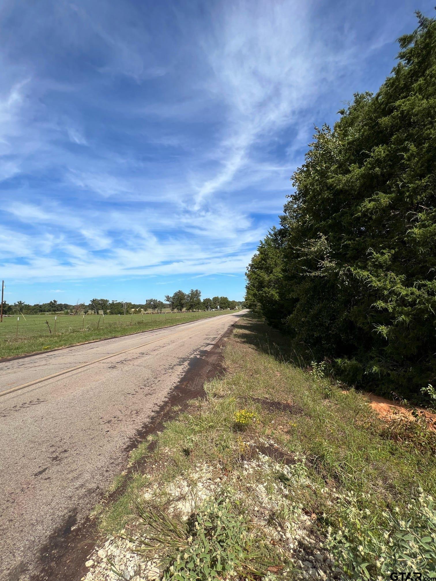 13610 Cr 420 (lot 6), Tyler, Texas image 24