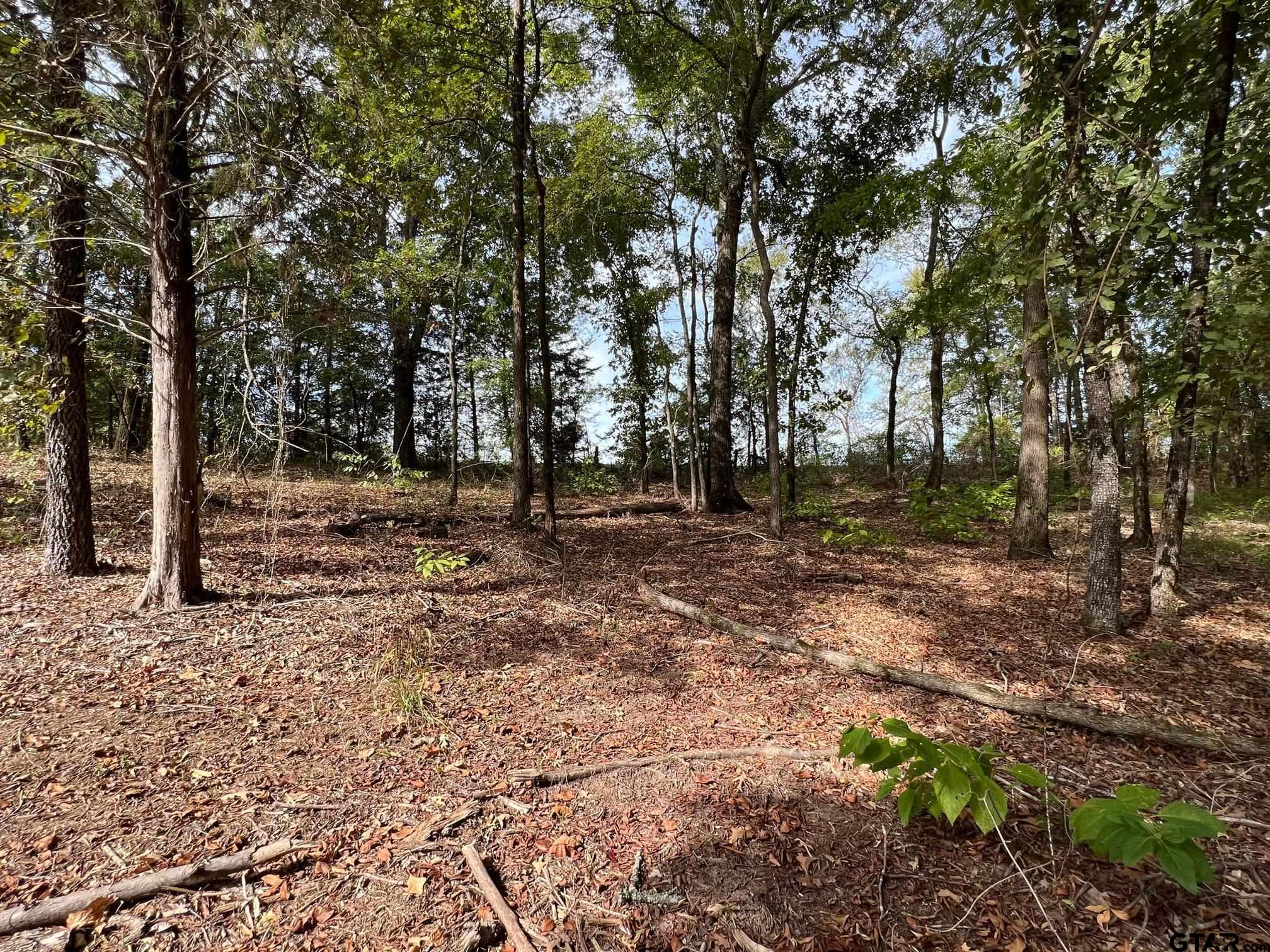 13610 Cr 420 (lot 6), Tyler, Texas image 4