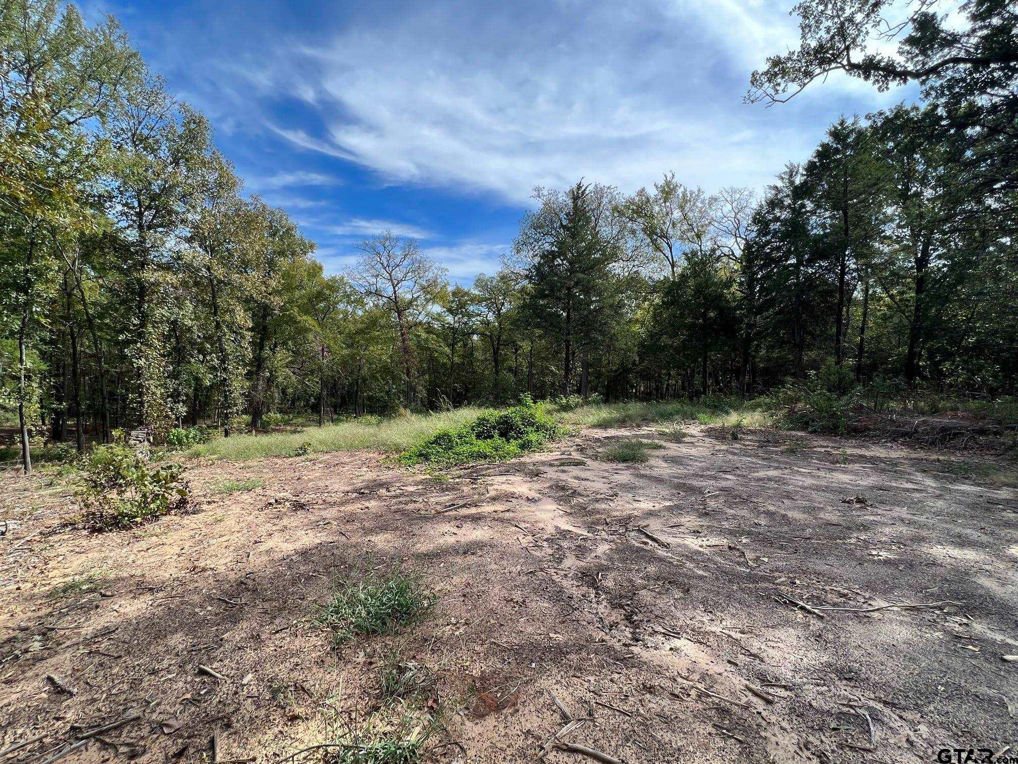 13610 Cr 420 (lot 6), Tyler, Texas image 5