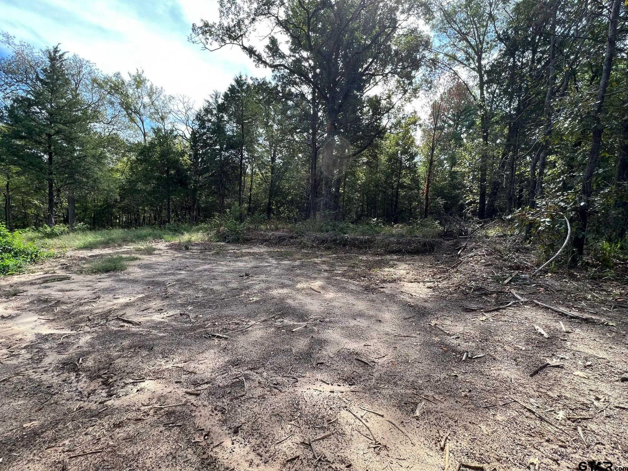 13610 Cr 420 (lot 6), Tyler, Texas image 6