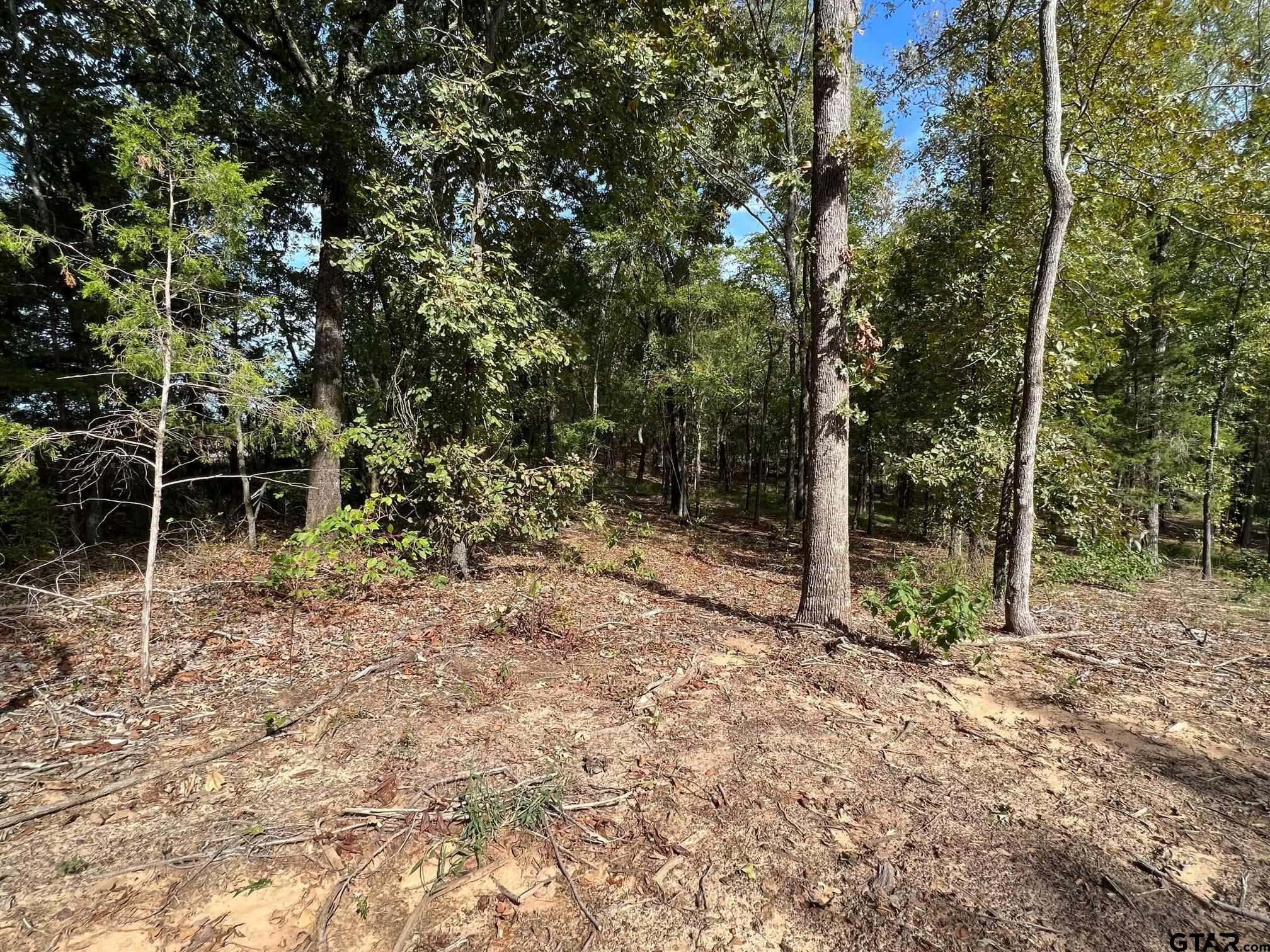 13610 Cr 420 (lot 6), Tyler, Texas image 8