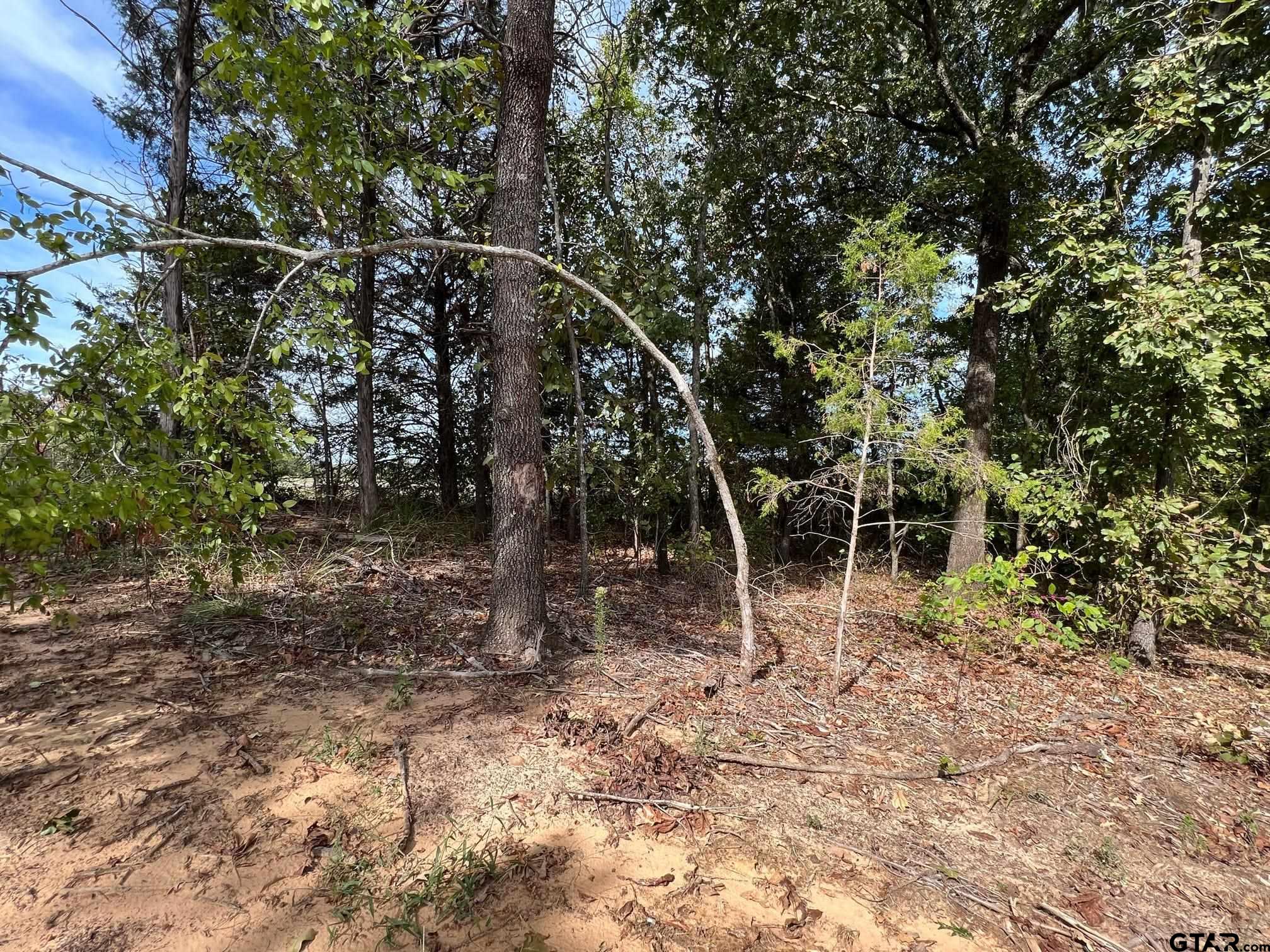 13610 Cr 420 (lot 6), Tyler, Texas image 9