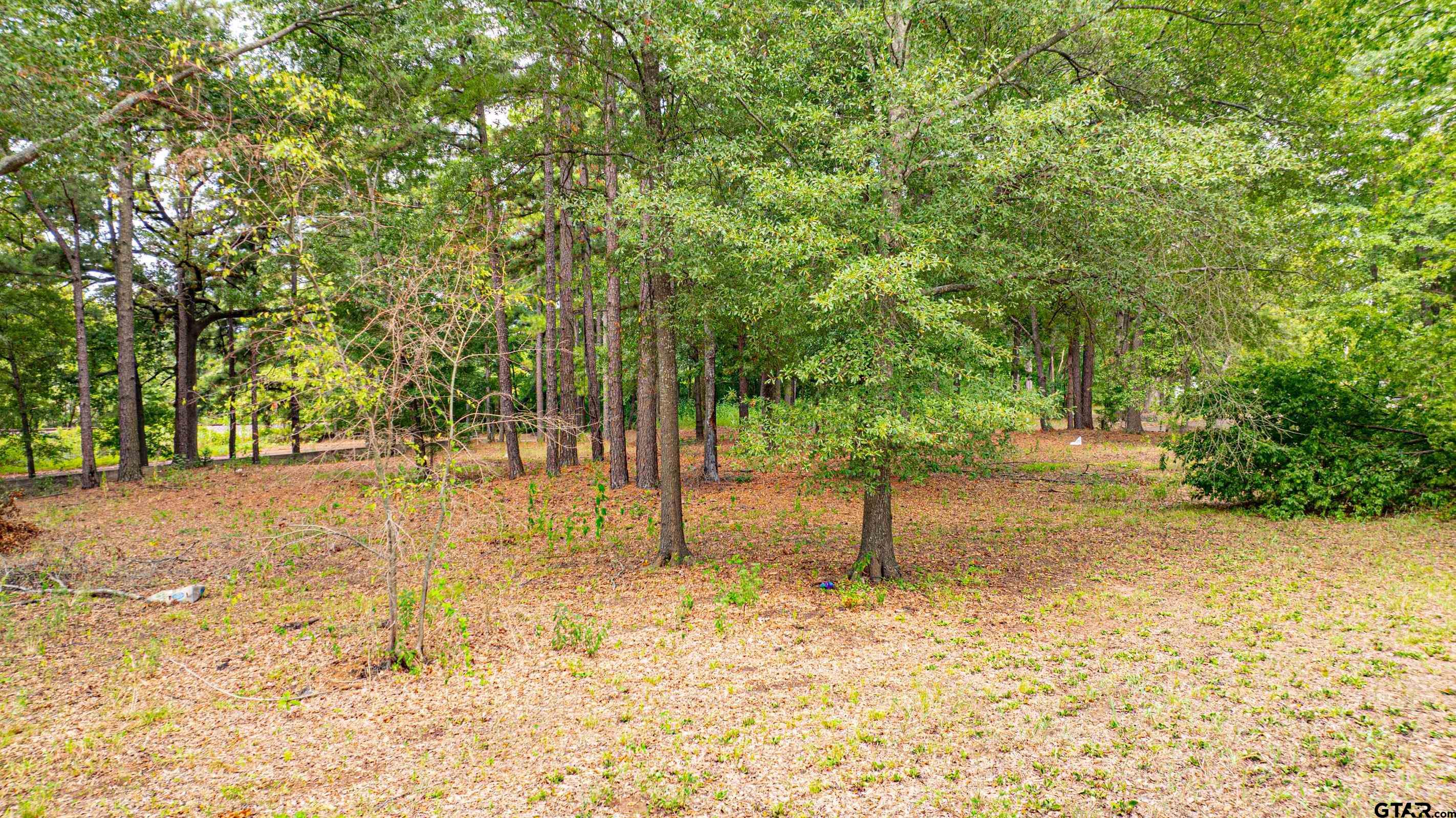 TBD Brown St, Longview, Texas image 5