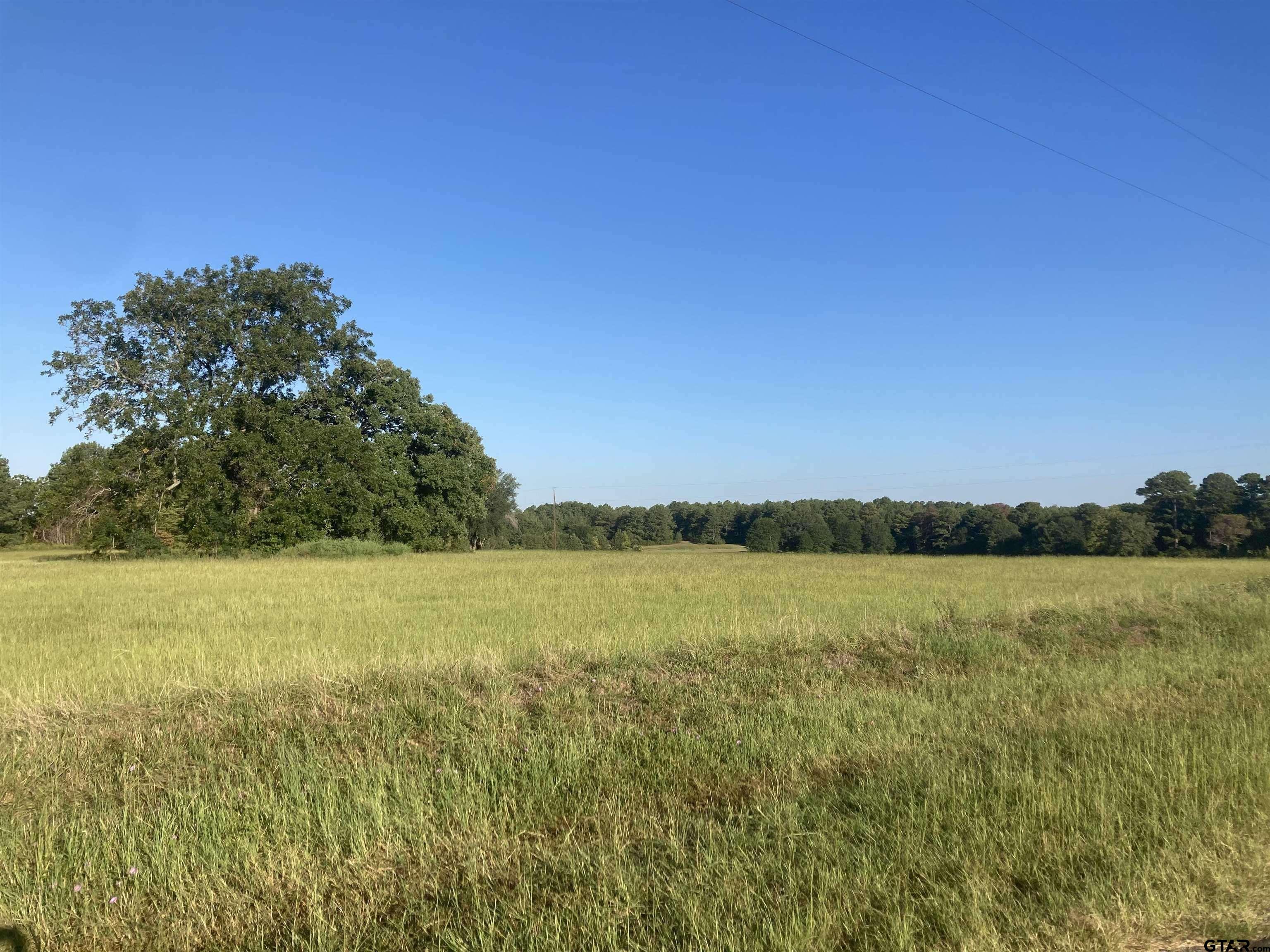 15178 Cr 1100, Tyler, Texas image 1