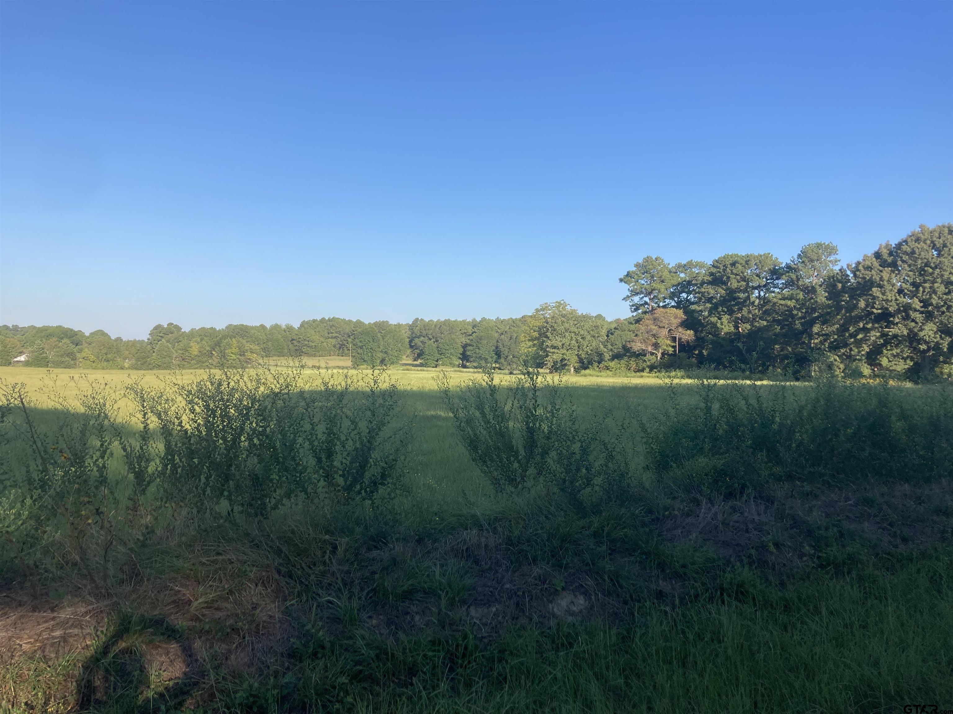 15472 Cr 1100, Tyler, Texas image 3