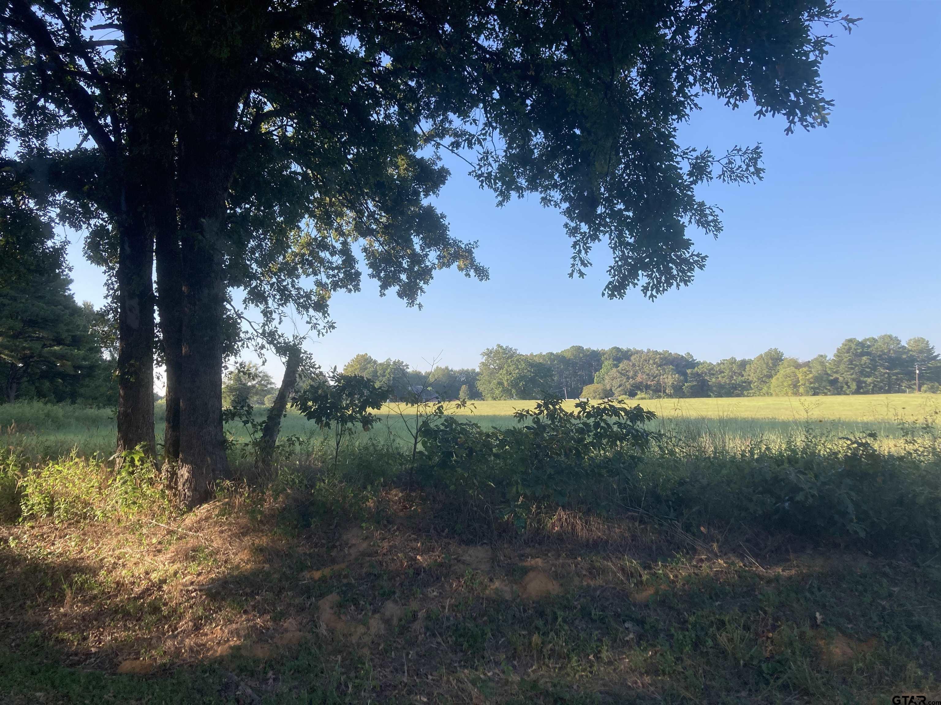 15472 Cr 1100, Tyler, Texas image 6