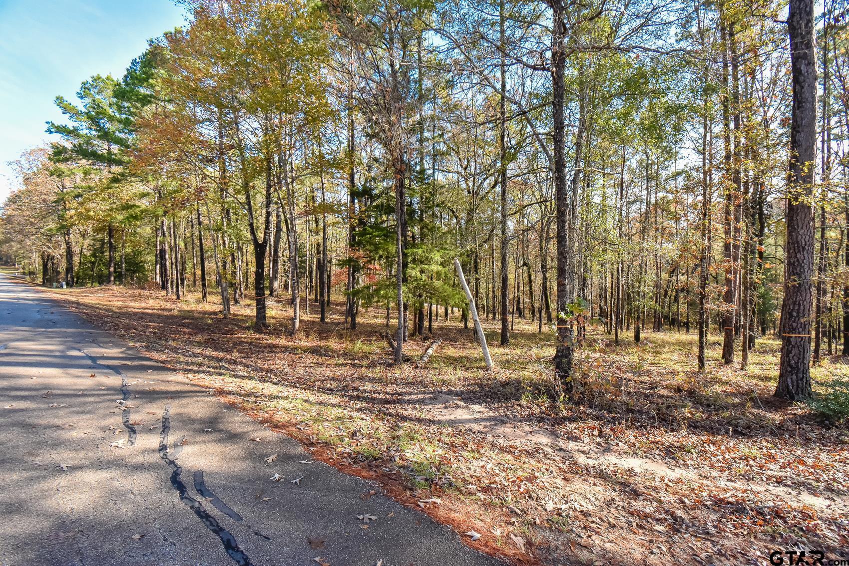 15349 Reserve Blvd, Tyler, Texas image 1