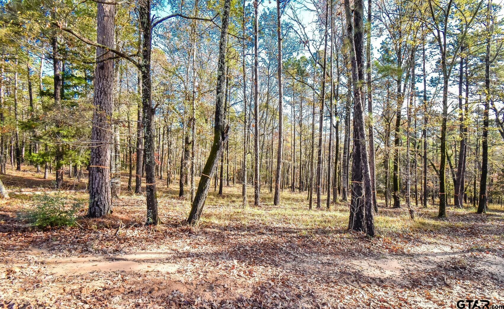 15349 Reserve Blvd, Tyler, Texas image 2